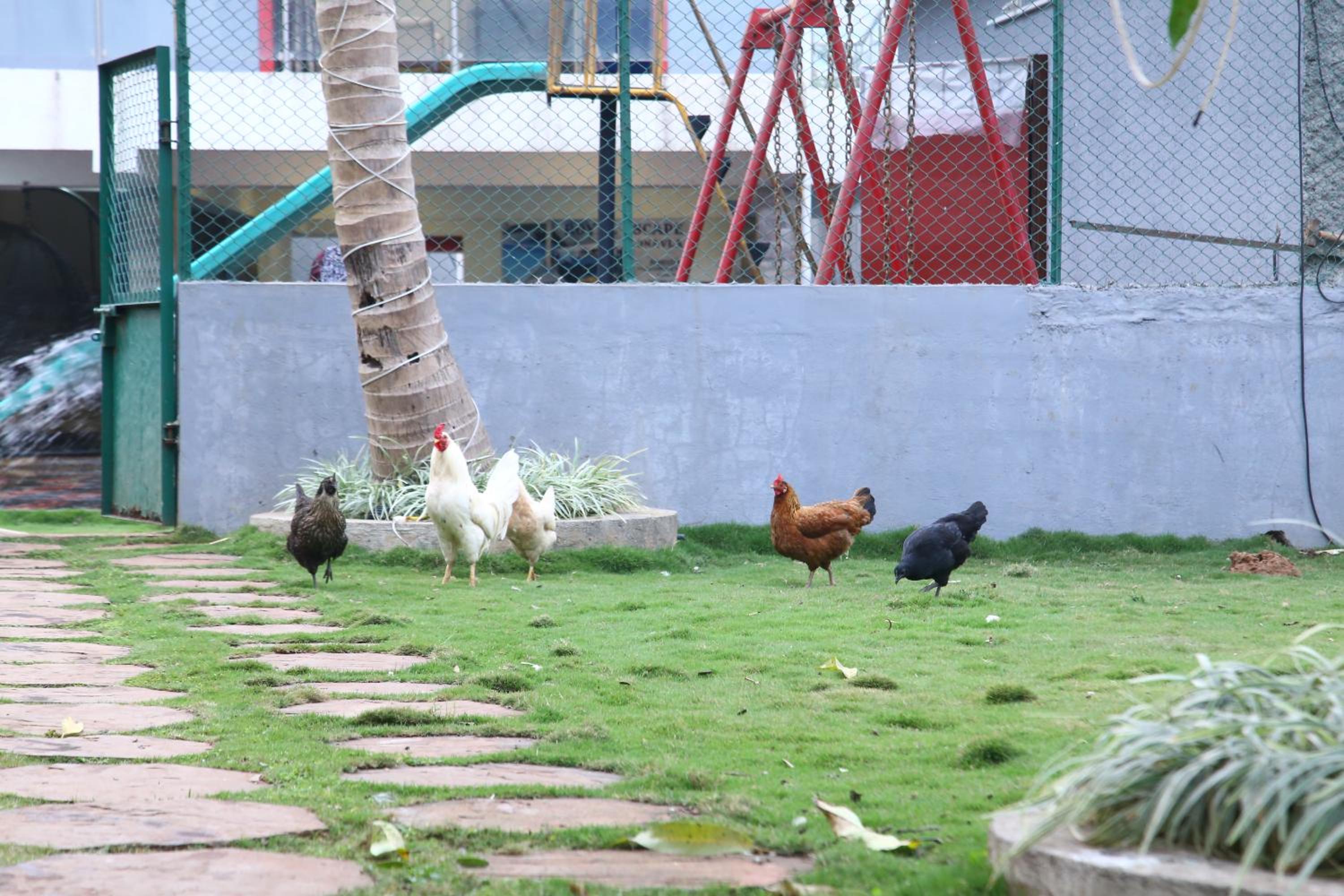 Royal Escape Lonavla