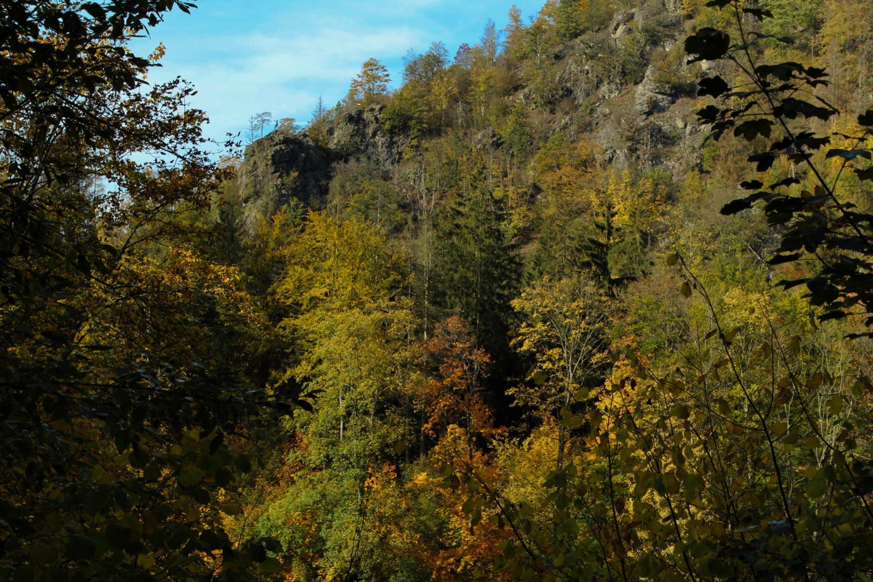 Chalet Alba