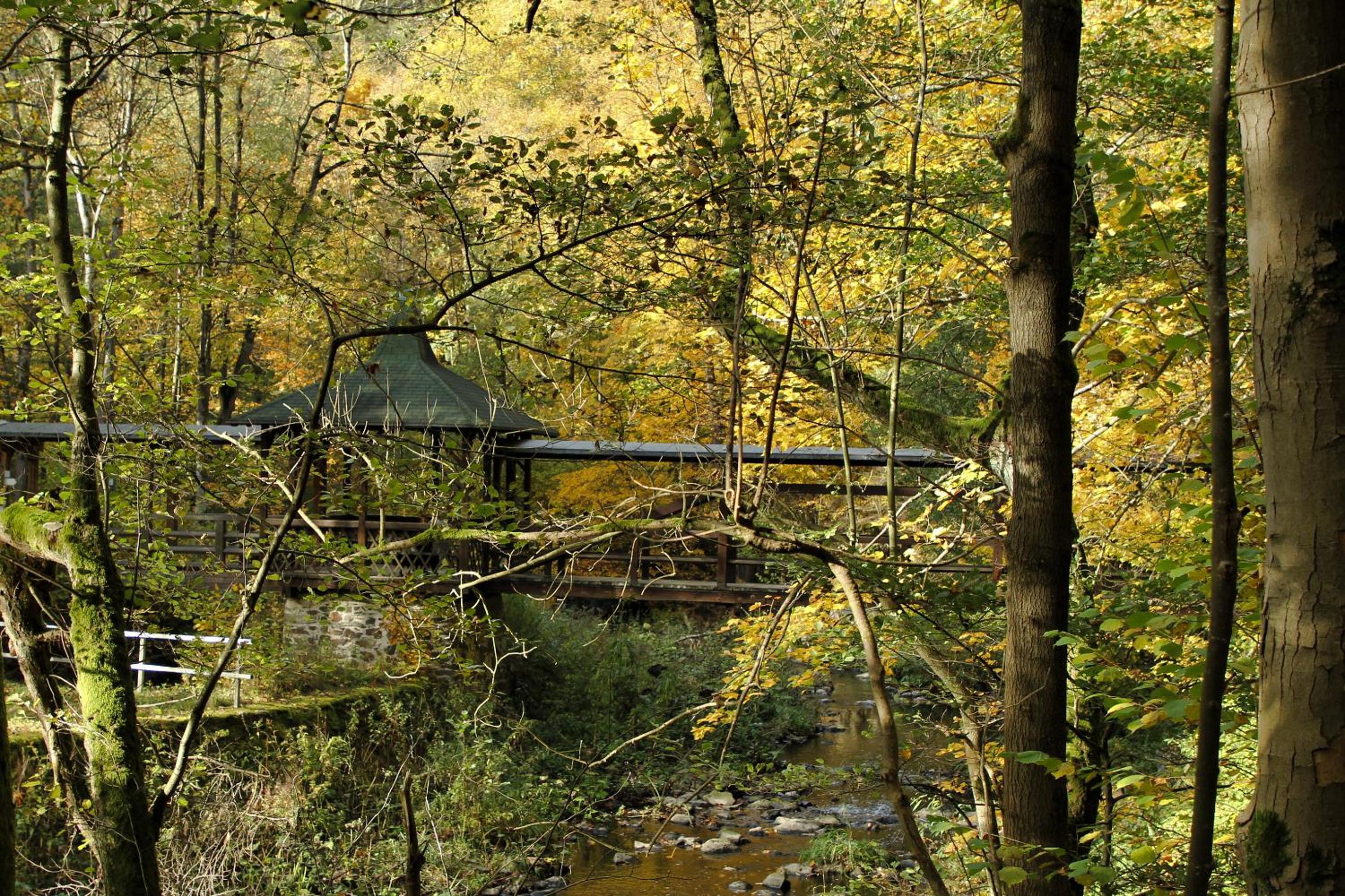 Chalet Alba