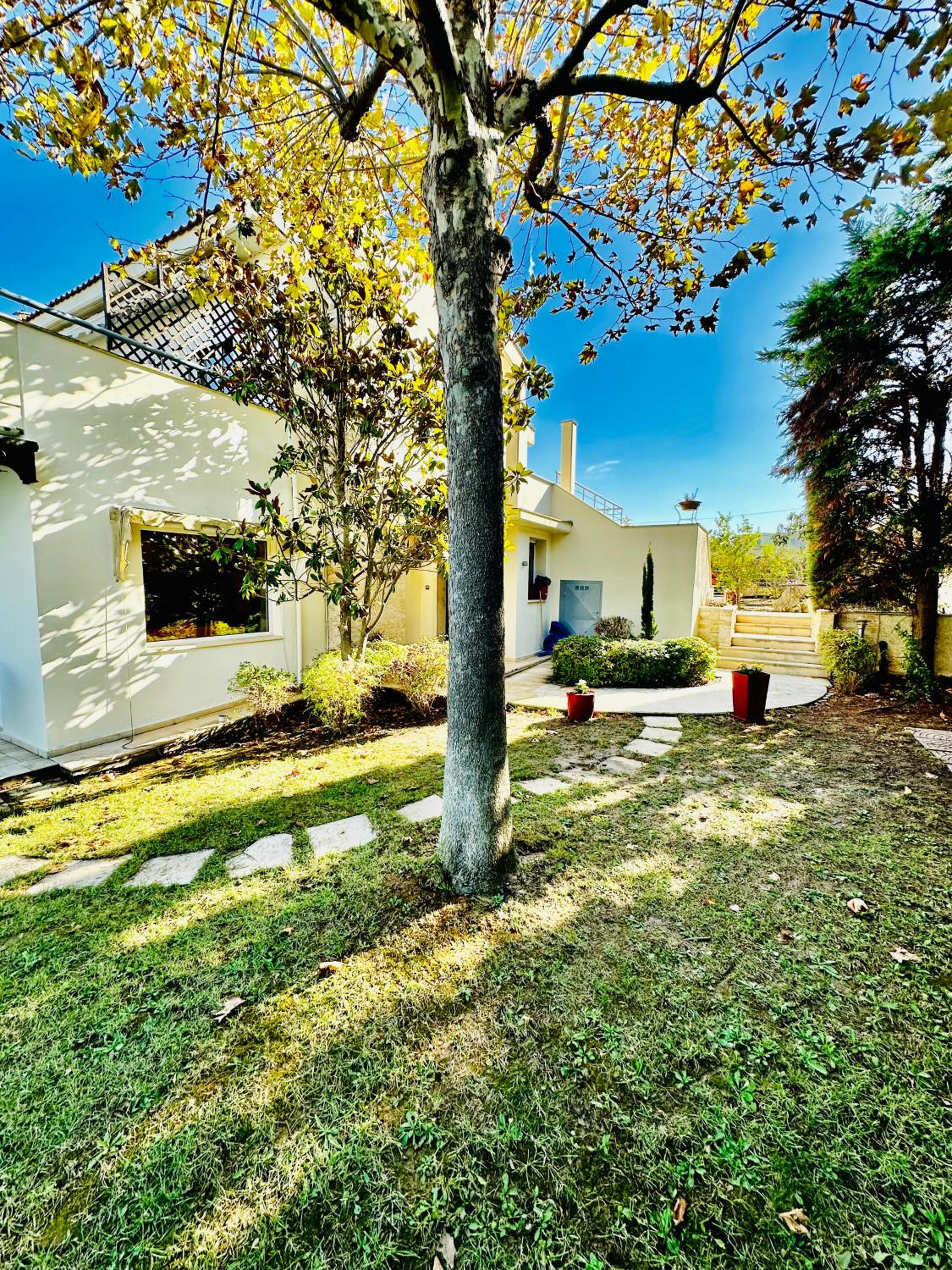 Hotel 2K Eco Villa - Image 1