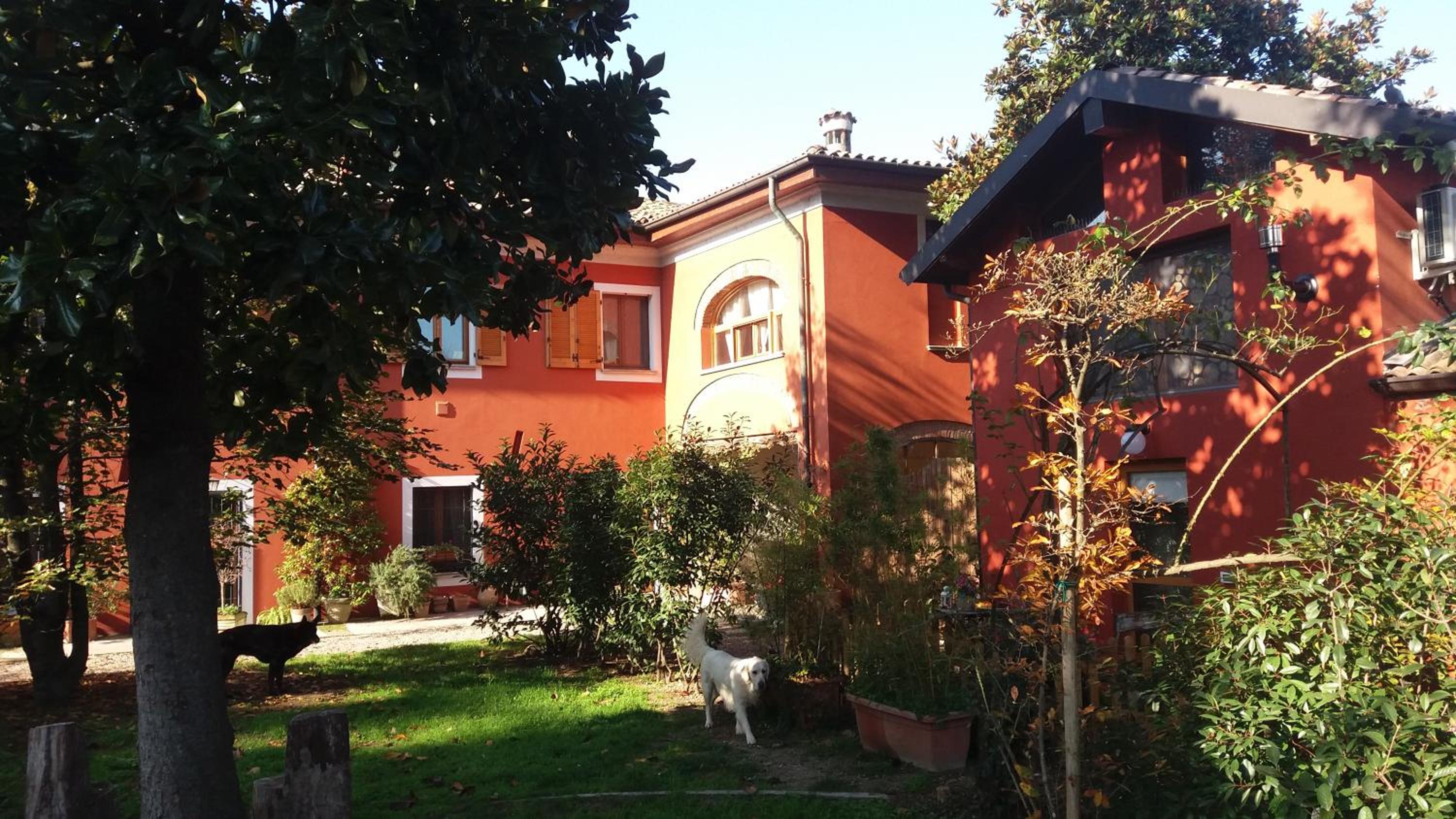 Il Pettirosso B&B