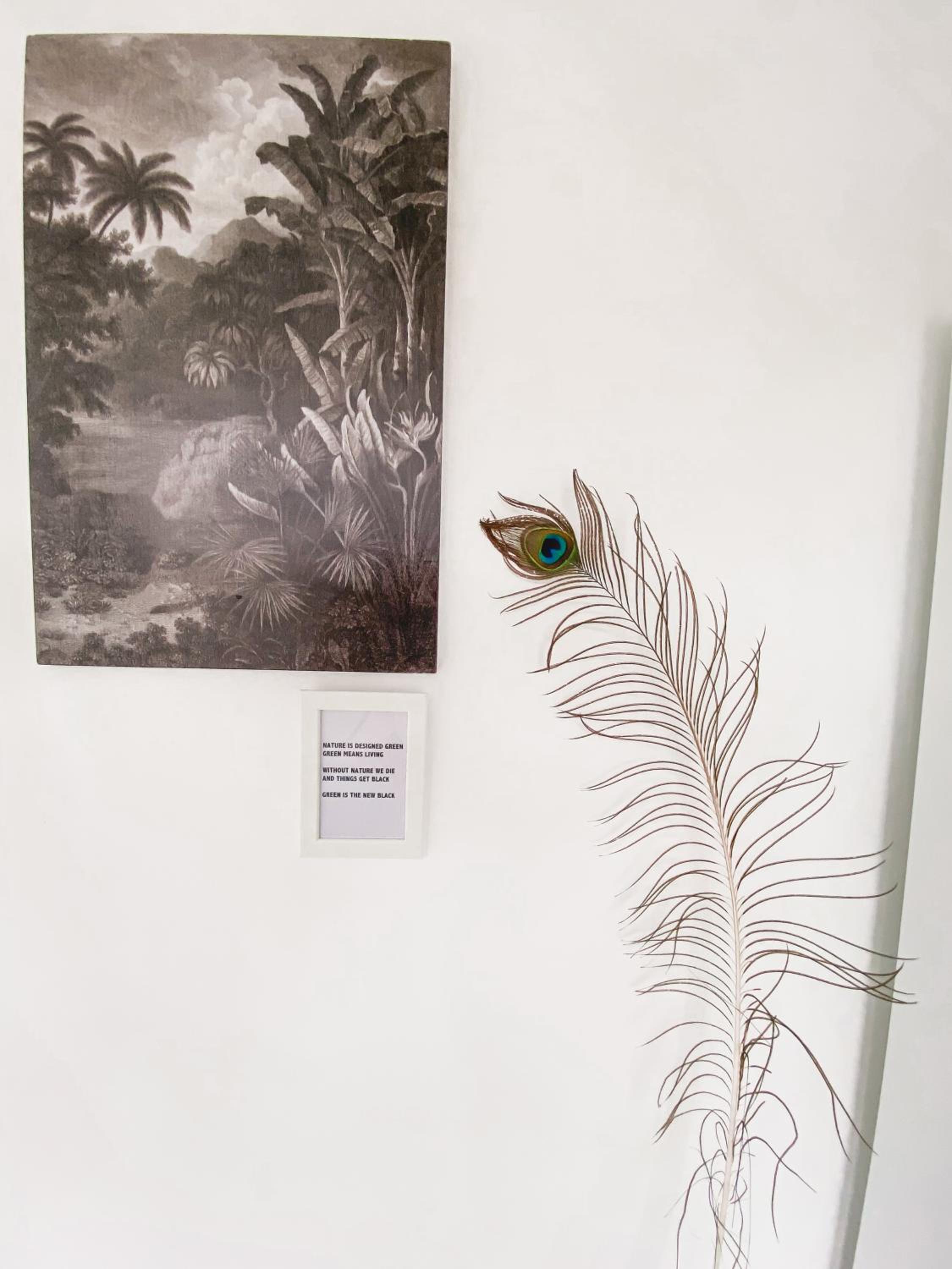 JoyJoyJoy the Green Palm ecolicious studio in a in historic Canalhouse from 1729 with view on the canals