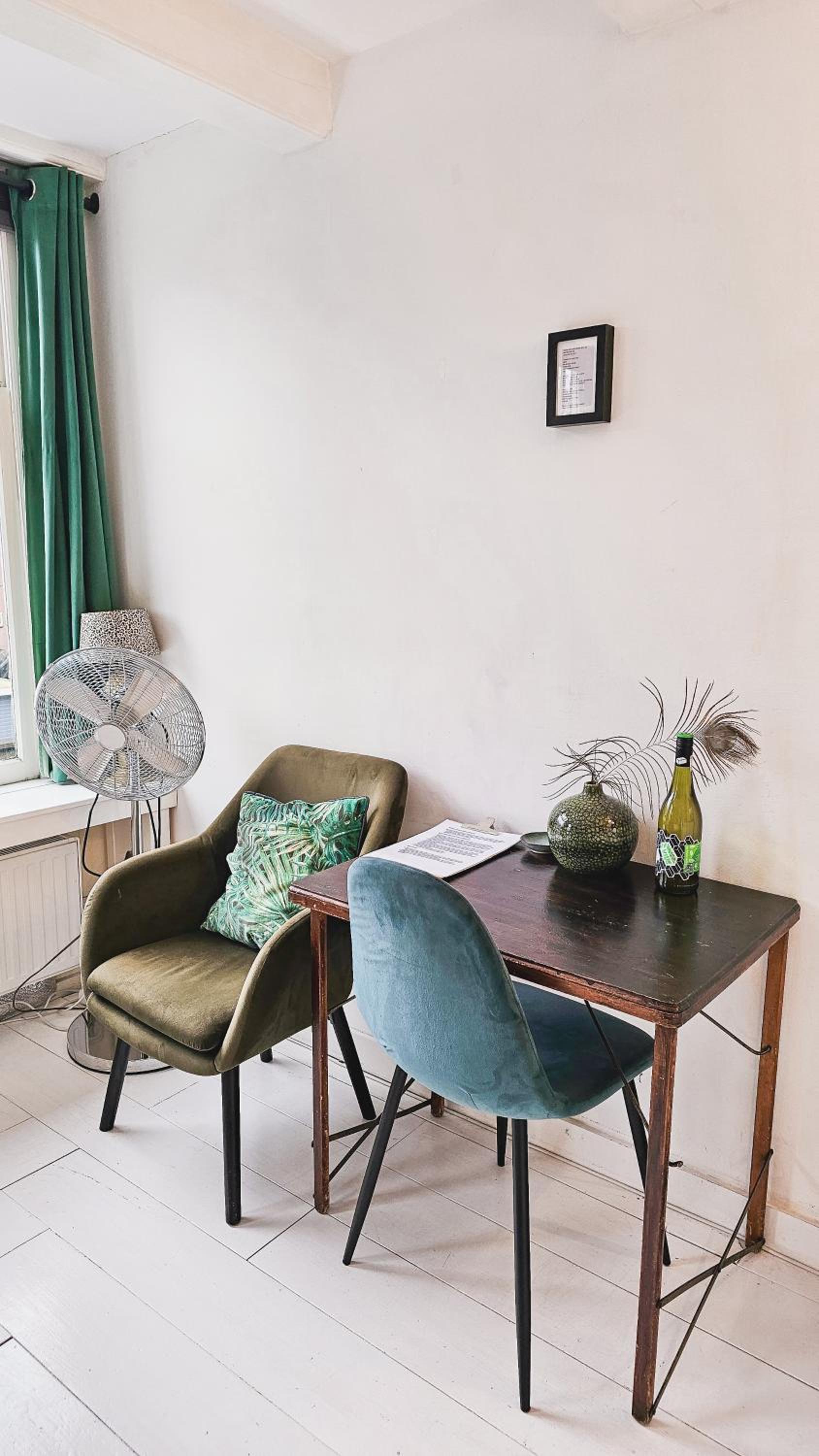 JoyJoyJoy the Green Palm ecolicious studio in a in historic Canalhouse from 1729 with view on the canals
