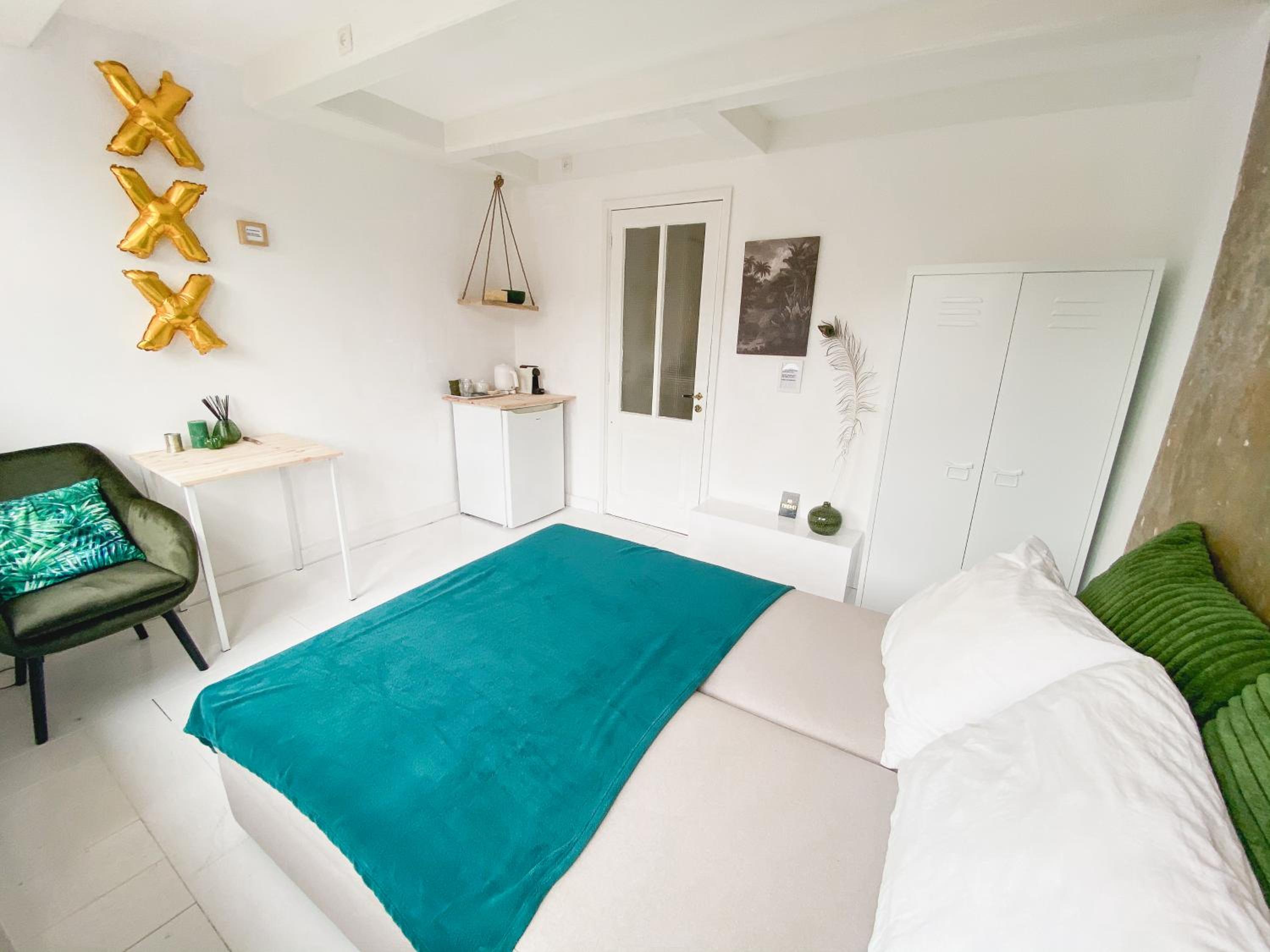 JoyJoyJoy the Green Palm ecolicious studio in a in historic Canalhouse from 1729 with view on the canals