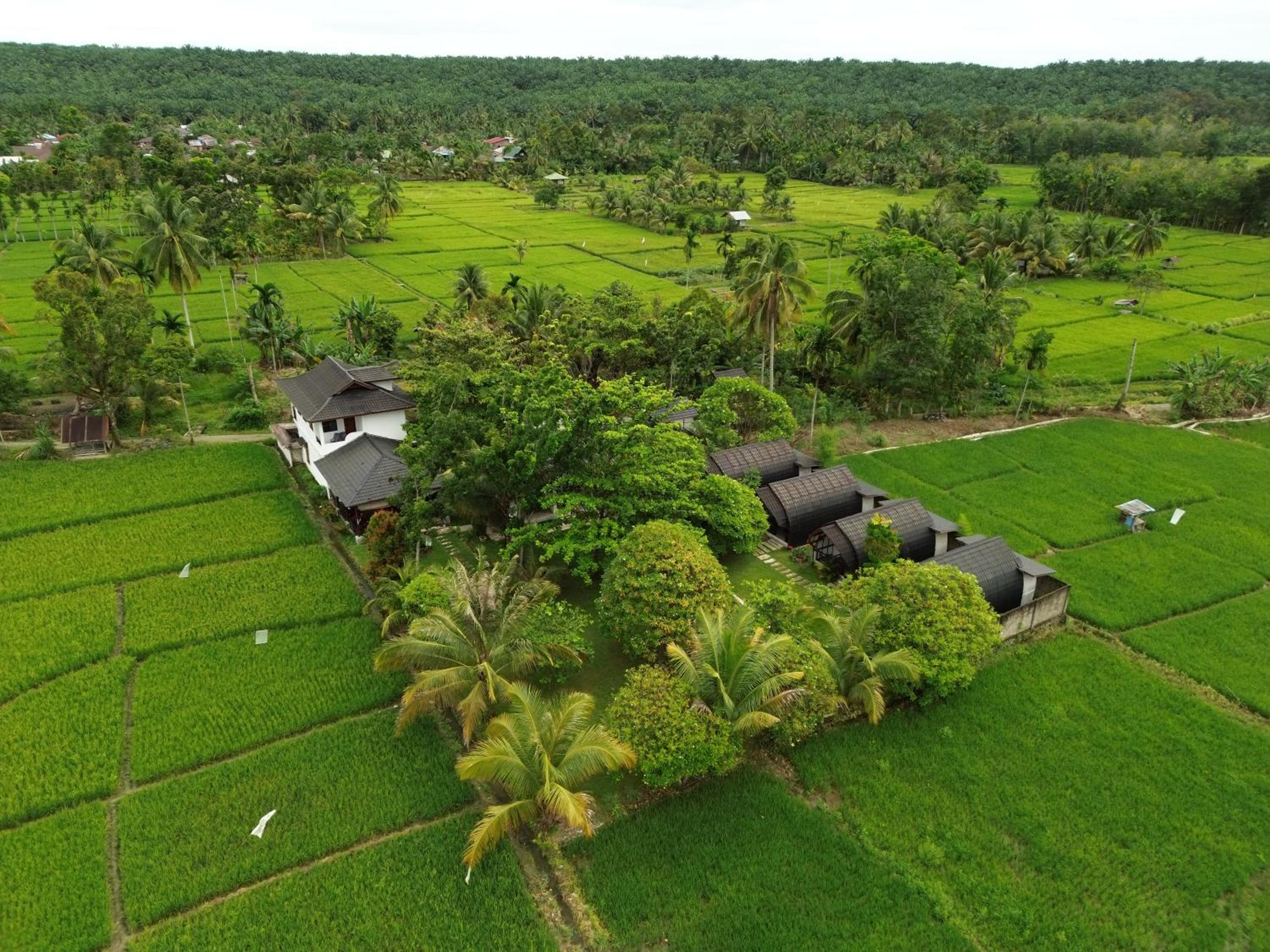 Gino's Place - Guest House & Jungle Trekking view 4