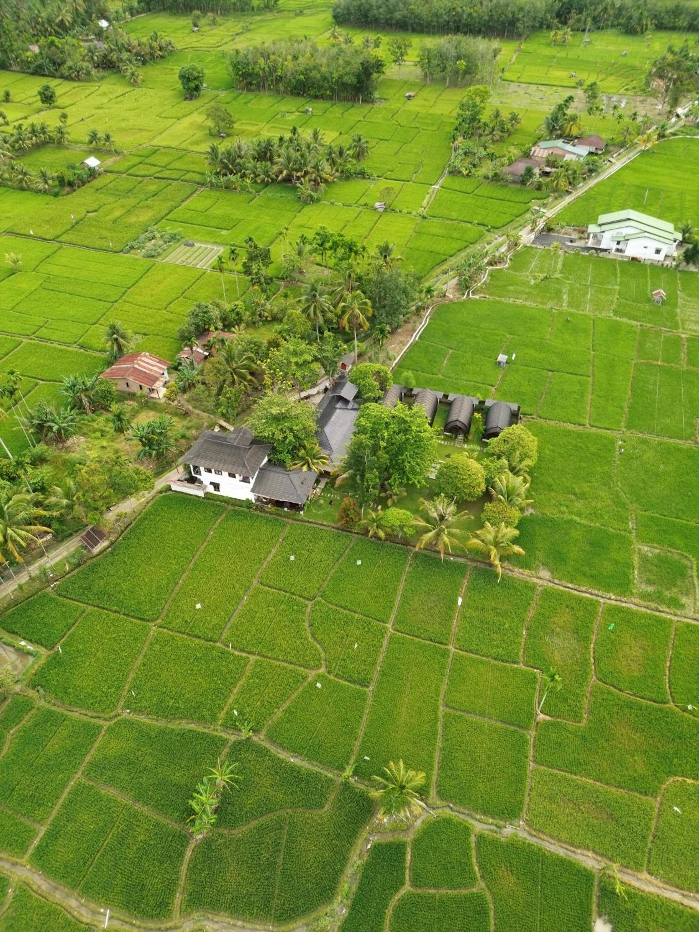 Gino's Place - Guest House & Jungle Trekking view 2