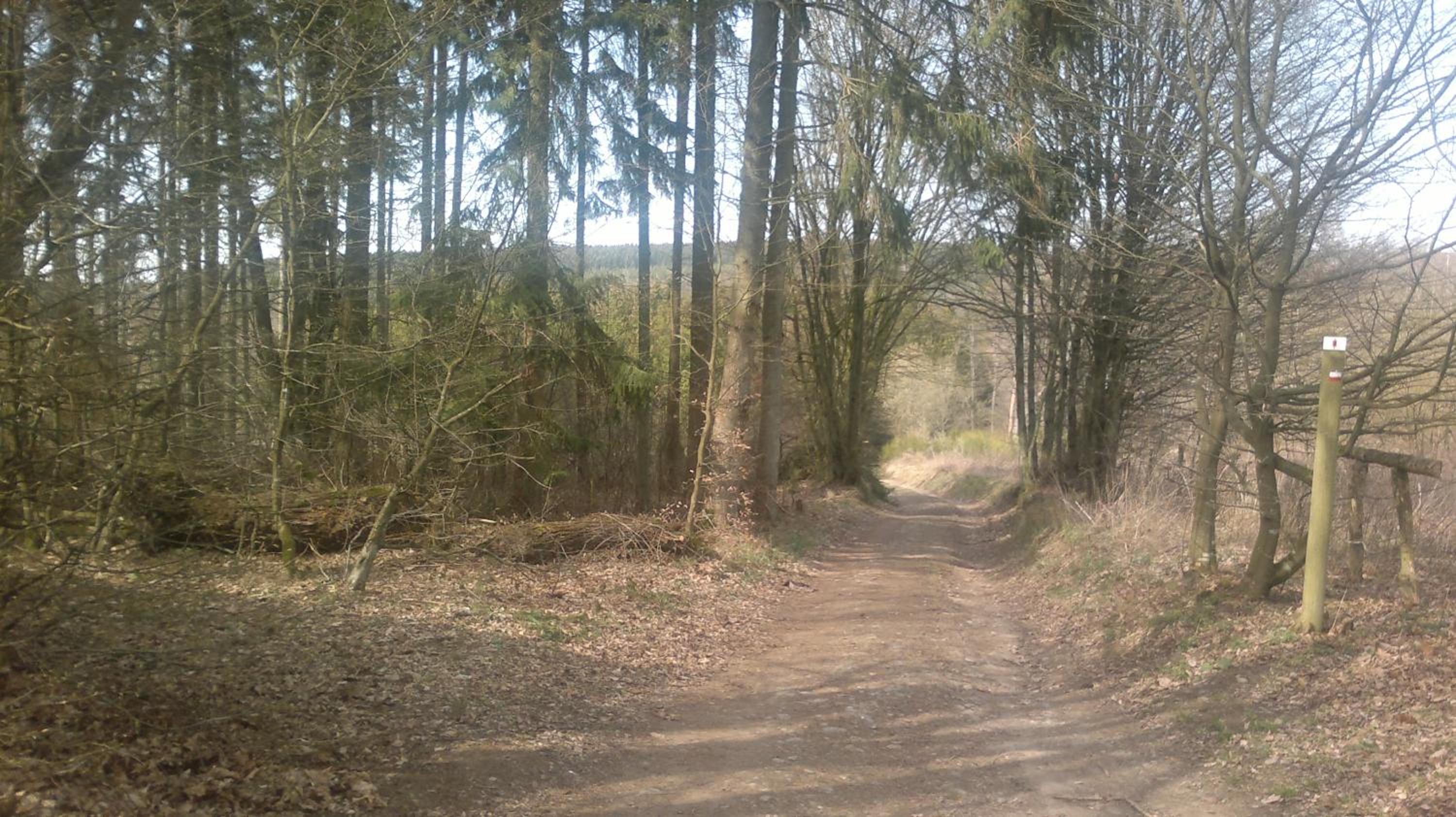 Eduard - Gîte Ardennais