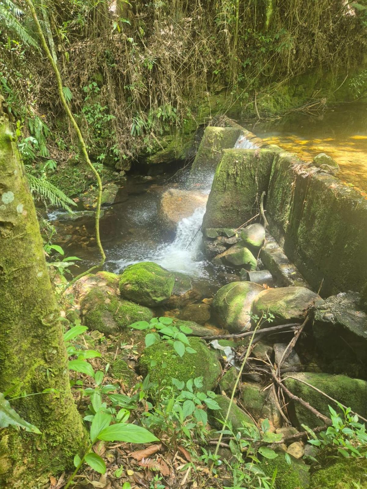 Chalé da Cachoeira - Cachoeira particular dentro da hospedagem