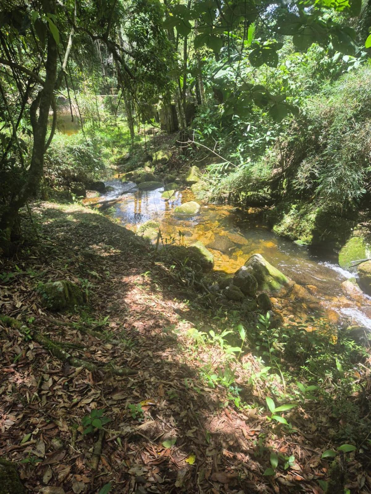 Chalé da Cachoeira - Cachoeira particular dentro da hospedagem