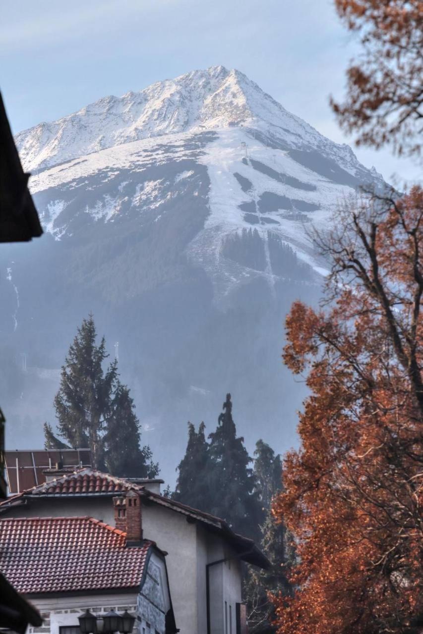 Mountain view 1-bedroom apartment few steps from ski piste and Gondola lift