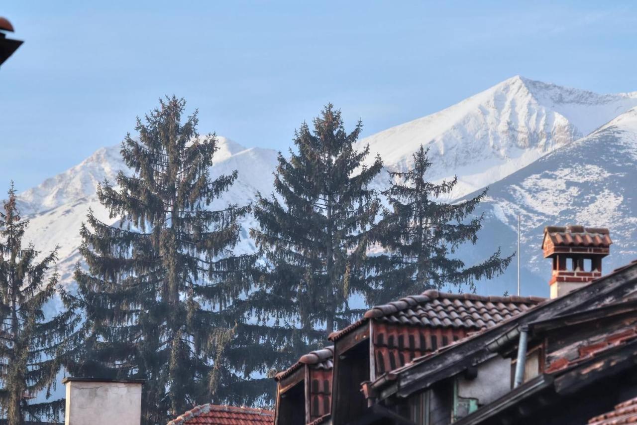 Mountain view 1-bedroom apartment few steps from ski piste and Gondola lift