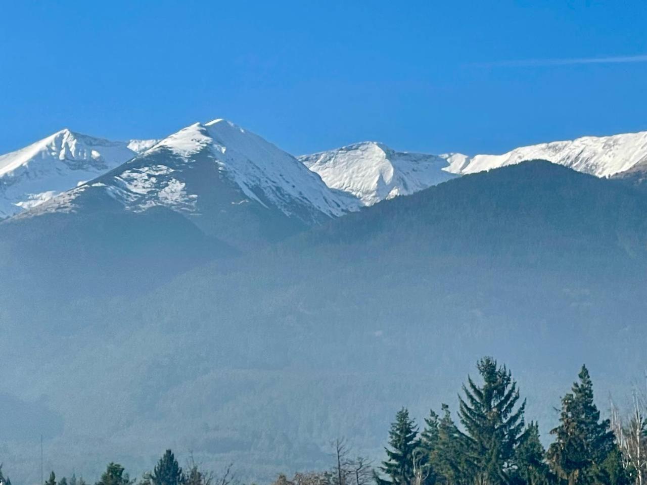 Mountain view 1-bedroom apartment few steps from ski piste and Gondola lift