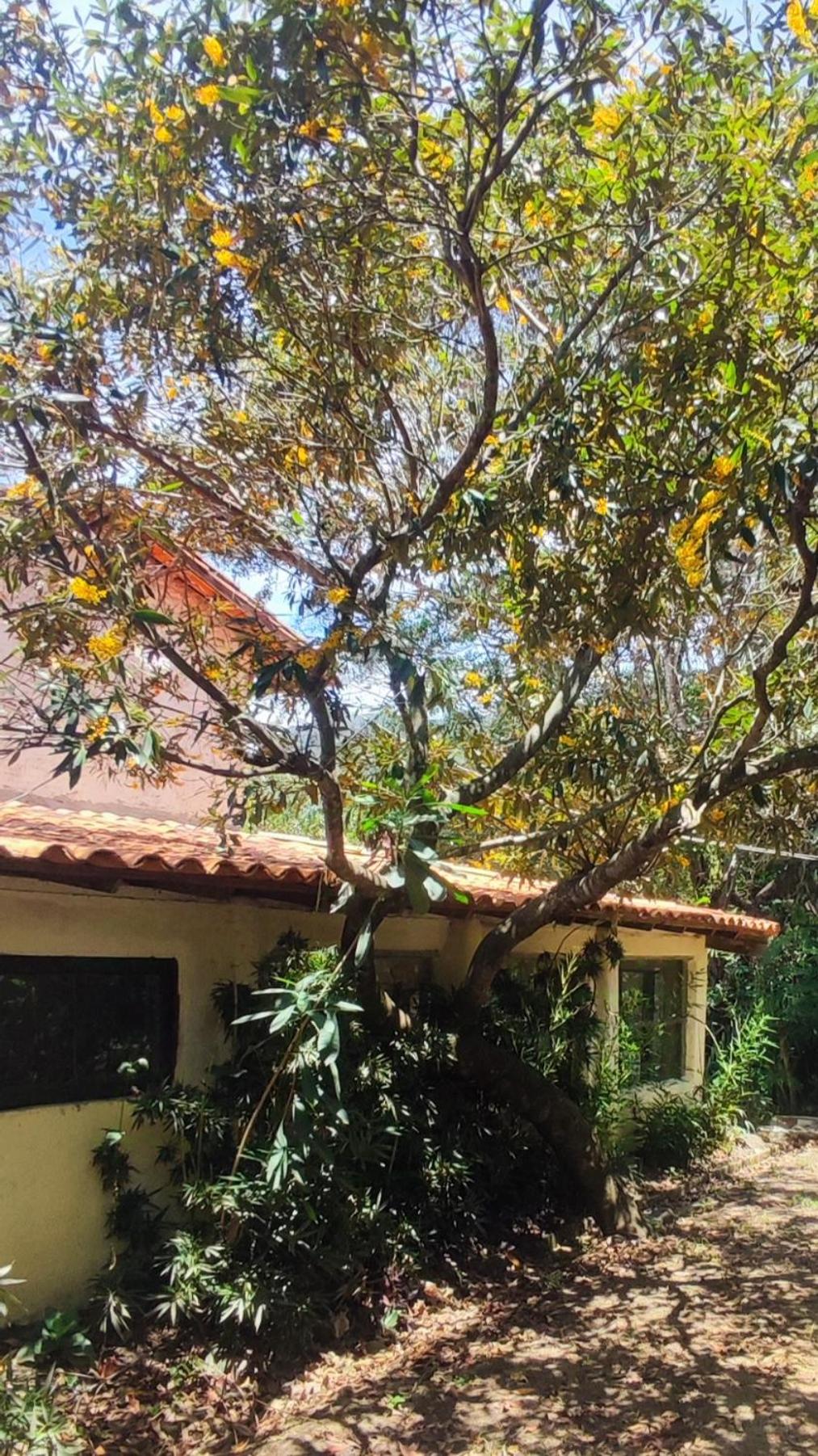 Bela Oyá Casa Hostel