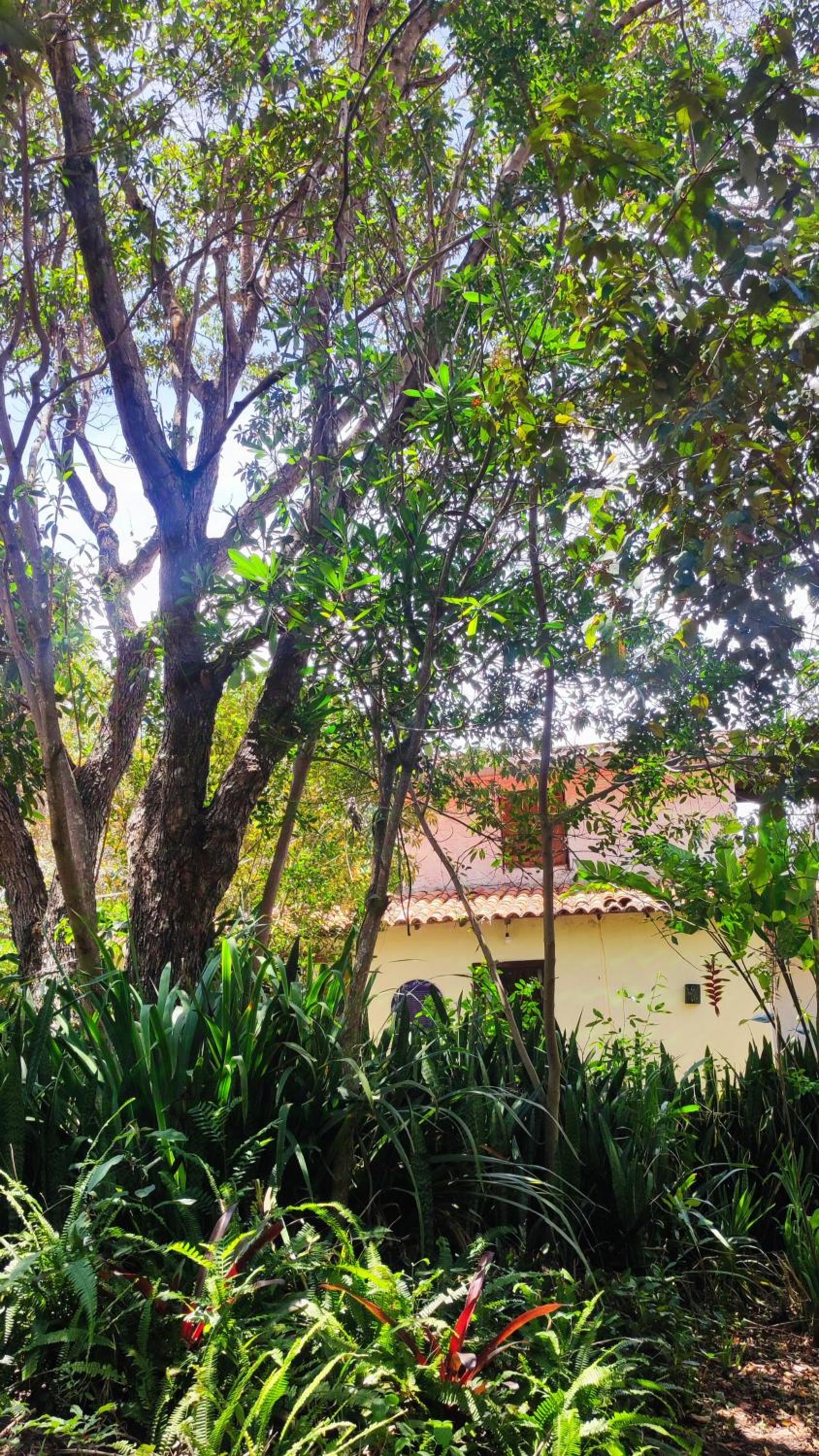 Bela Oyá Casa Hostel