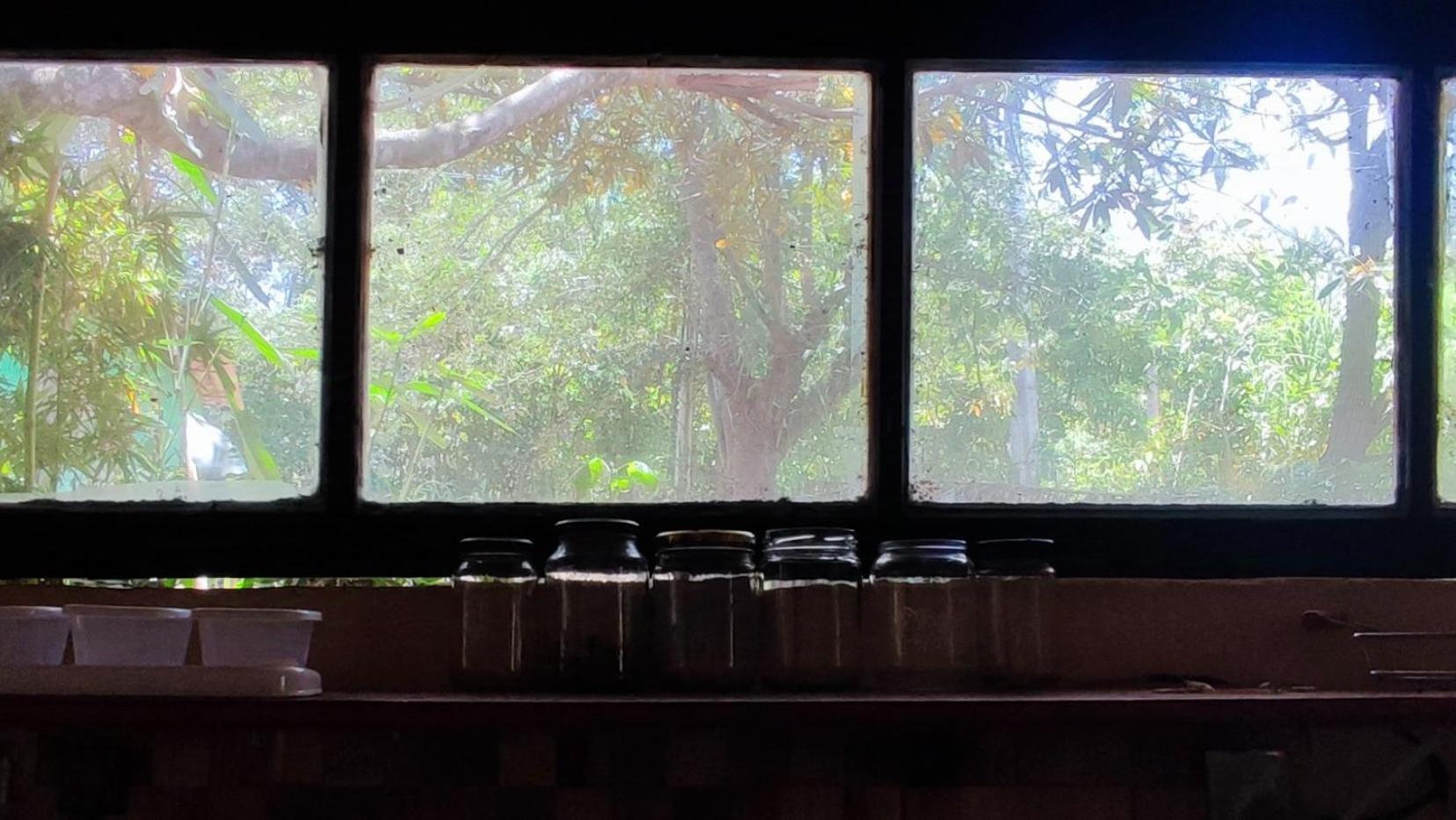 Bela Oyá Casa Hostel