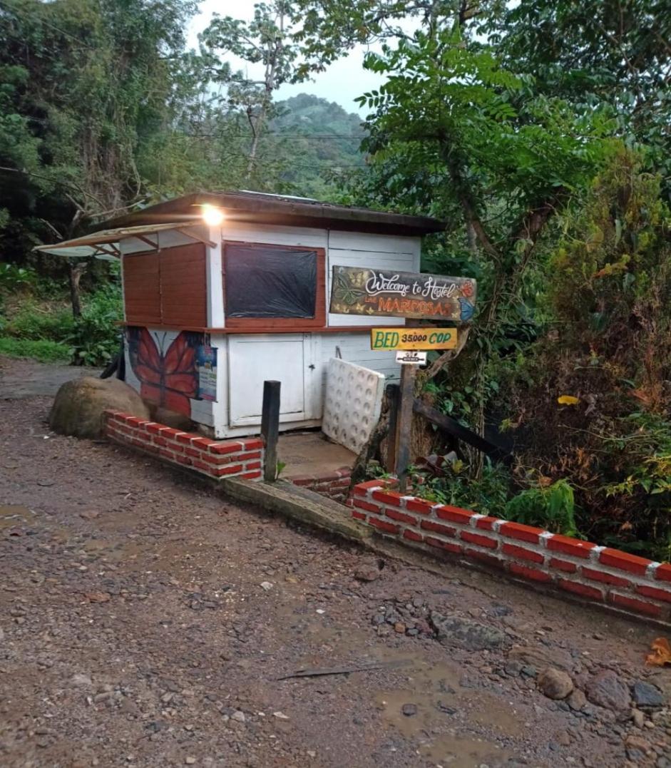 Hostal Las Mariposas Minca