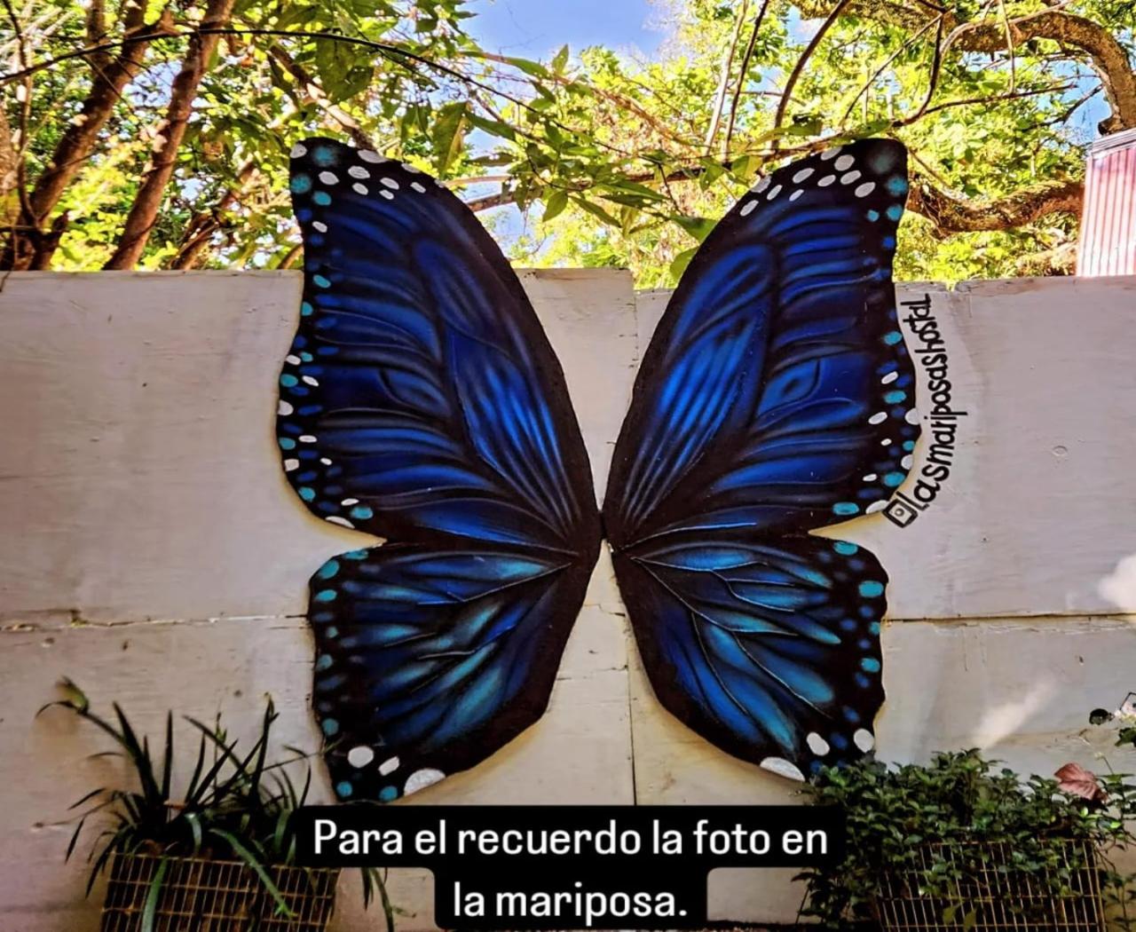 Hostal Las Mariposas Minca