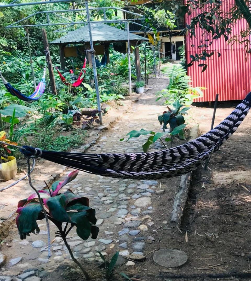 Hostal Las Mariposas Minca