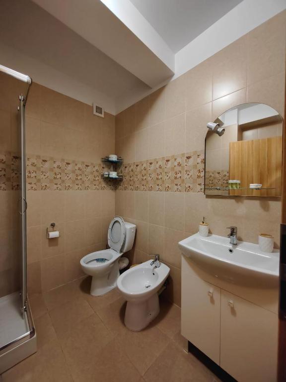 Apartament Central 3 view 5