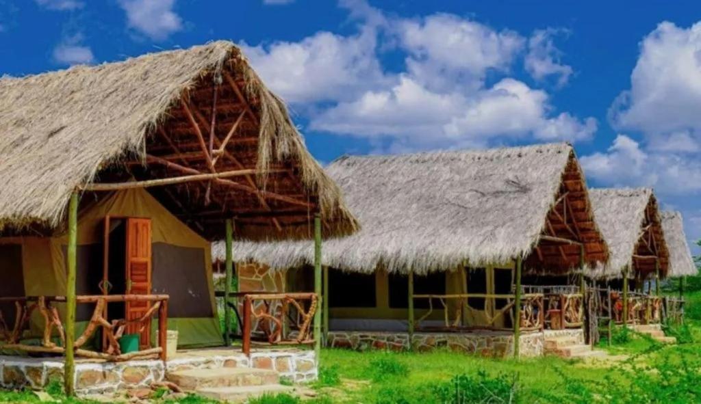 Nashipa Eco Camp