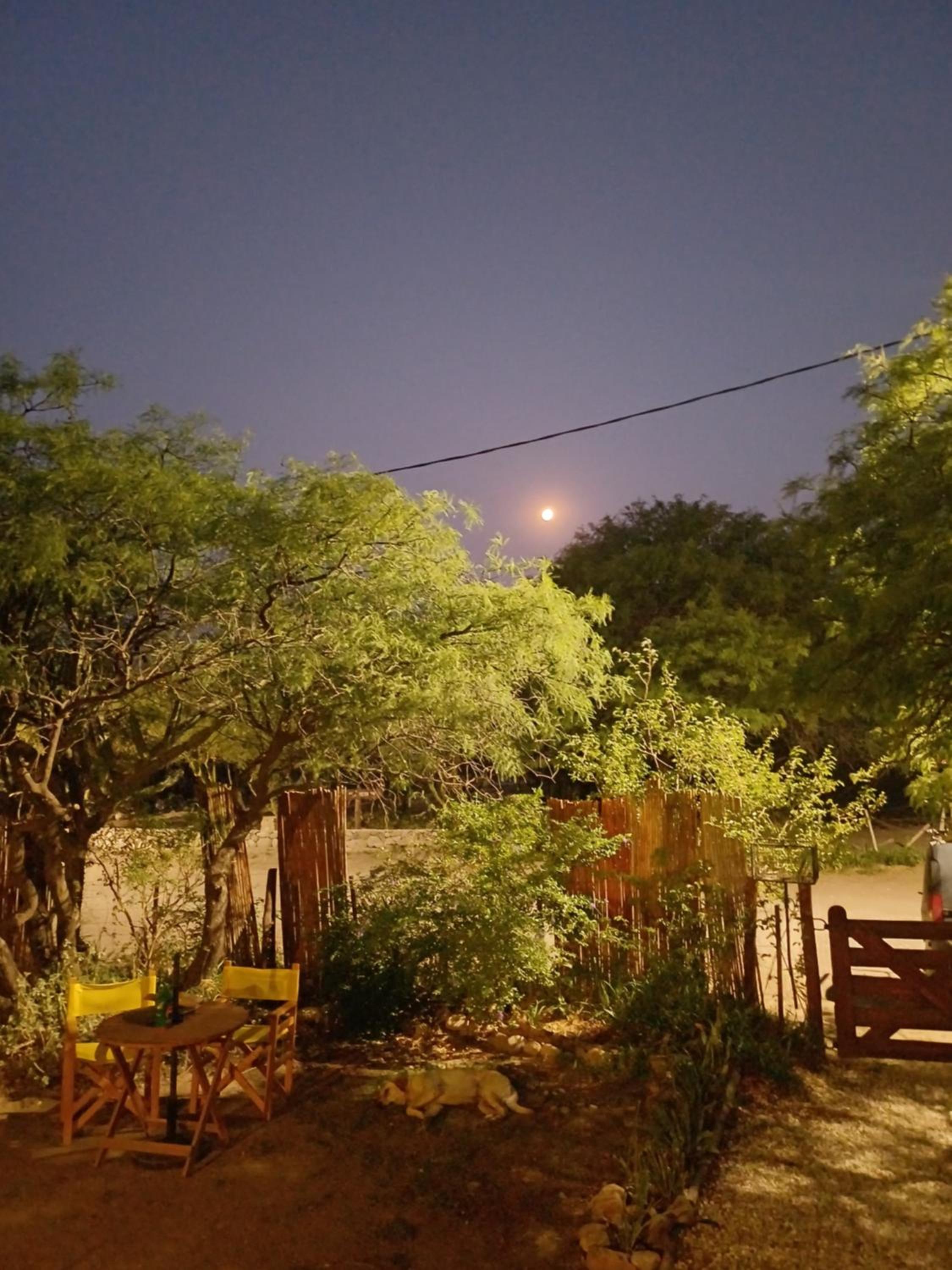 Jardin de Estrellas