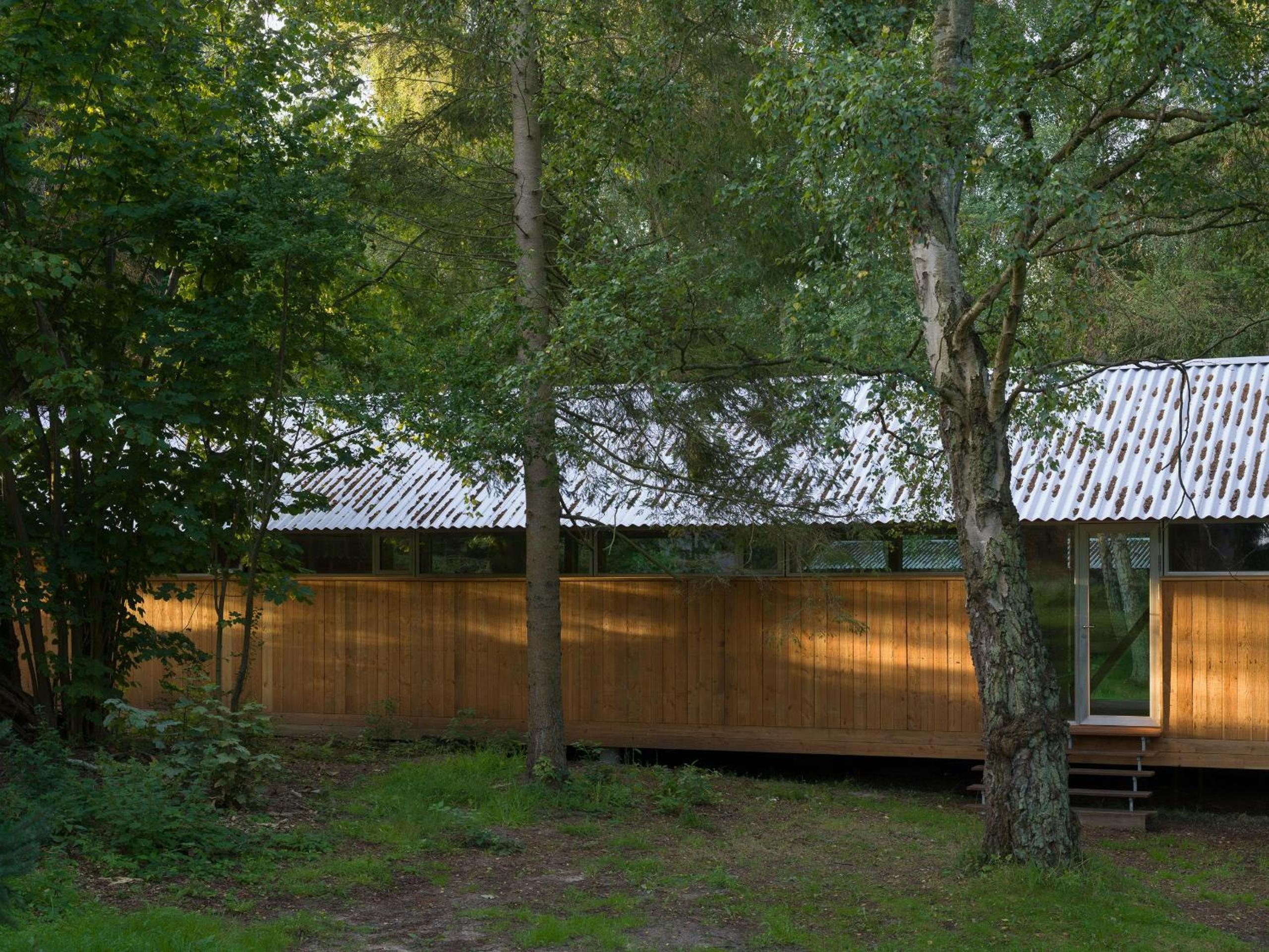 building