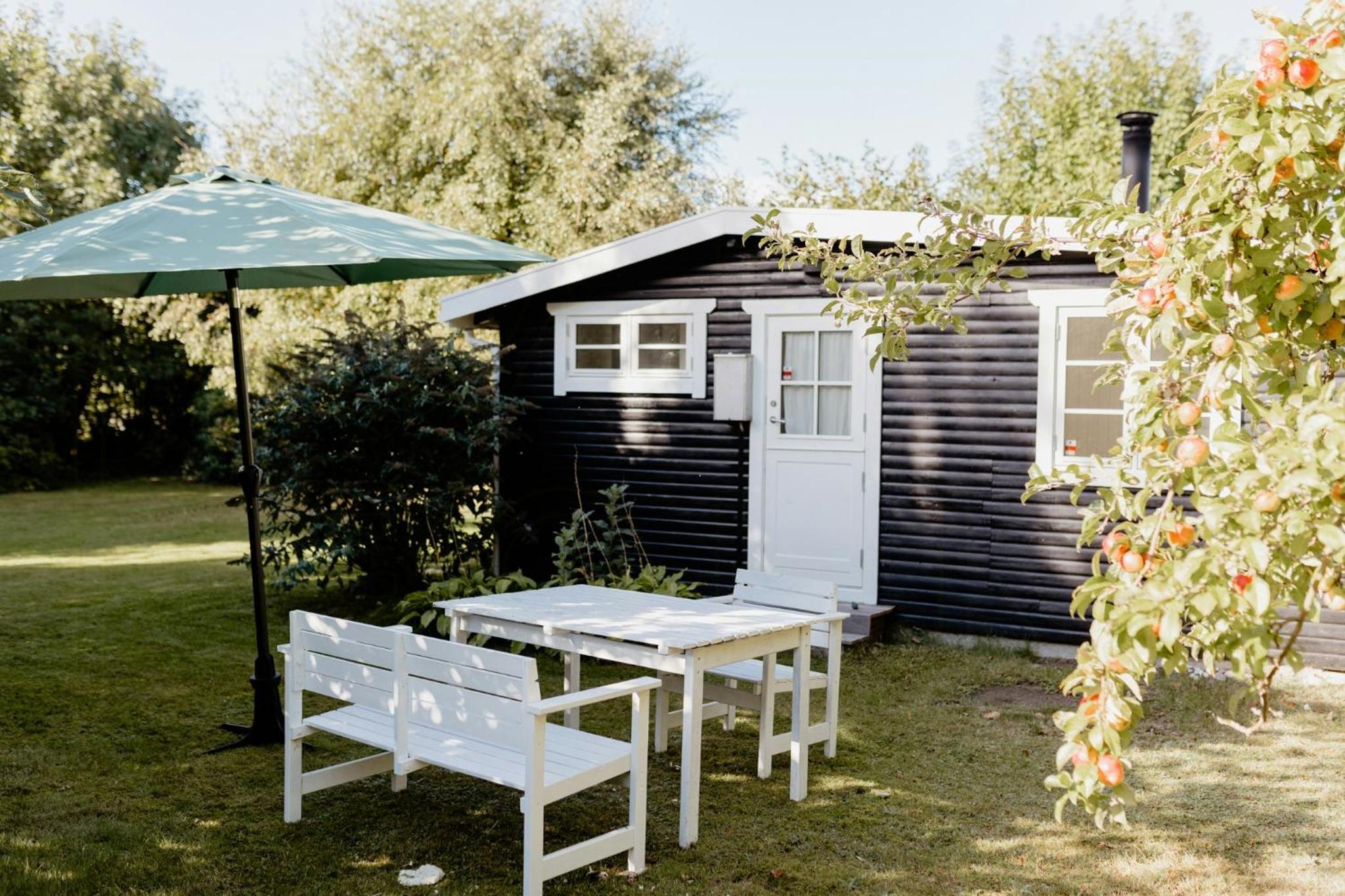 Cottage Life In Intimate Wooden Cabin