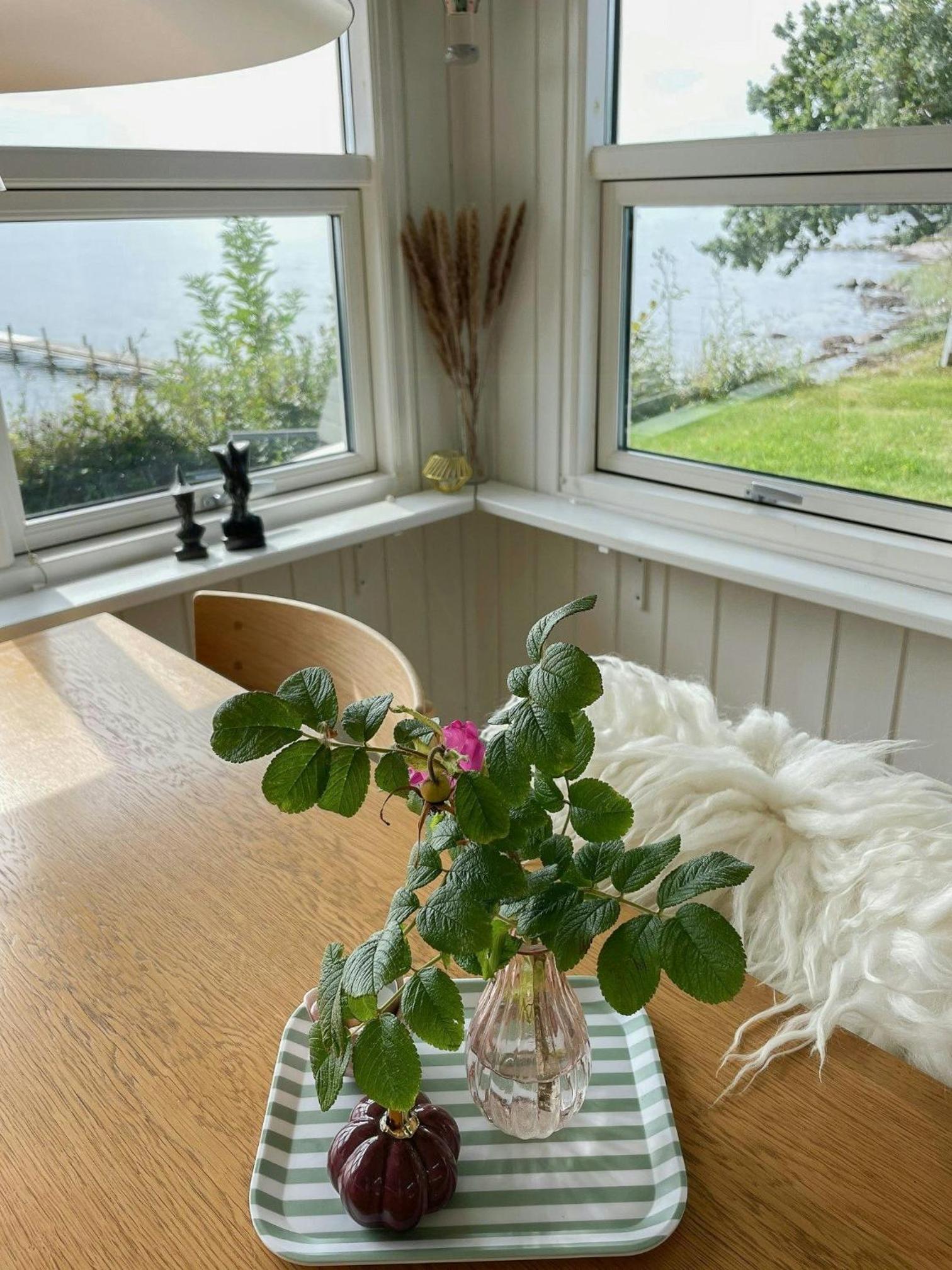 House Near Sea And Forest In Lundeborg