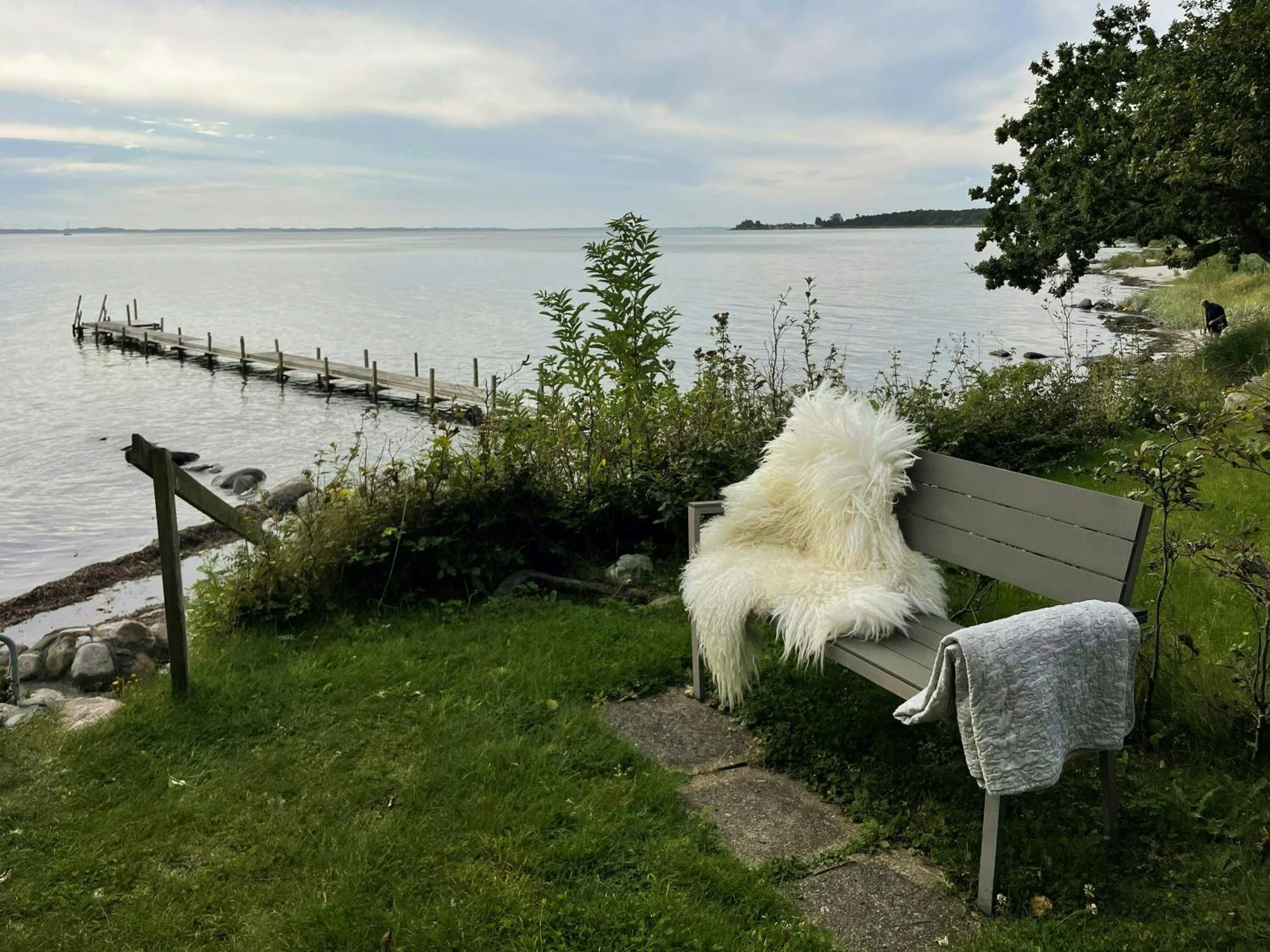 House Near Sea And Forest In Lundeborg