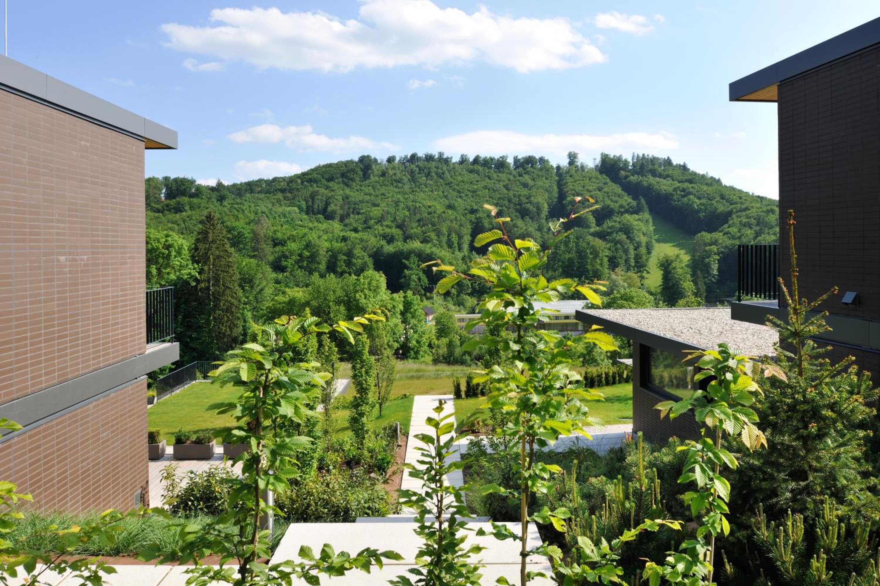 Oranda Village