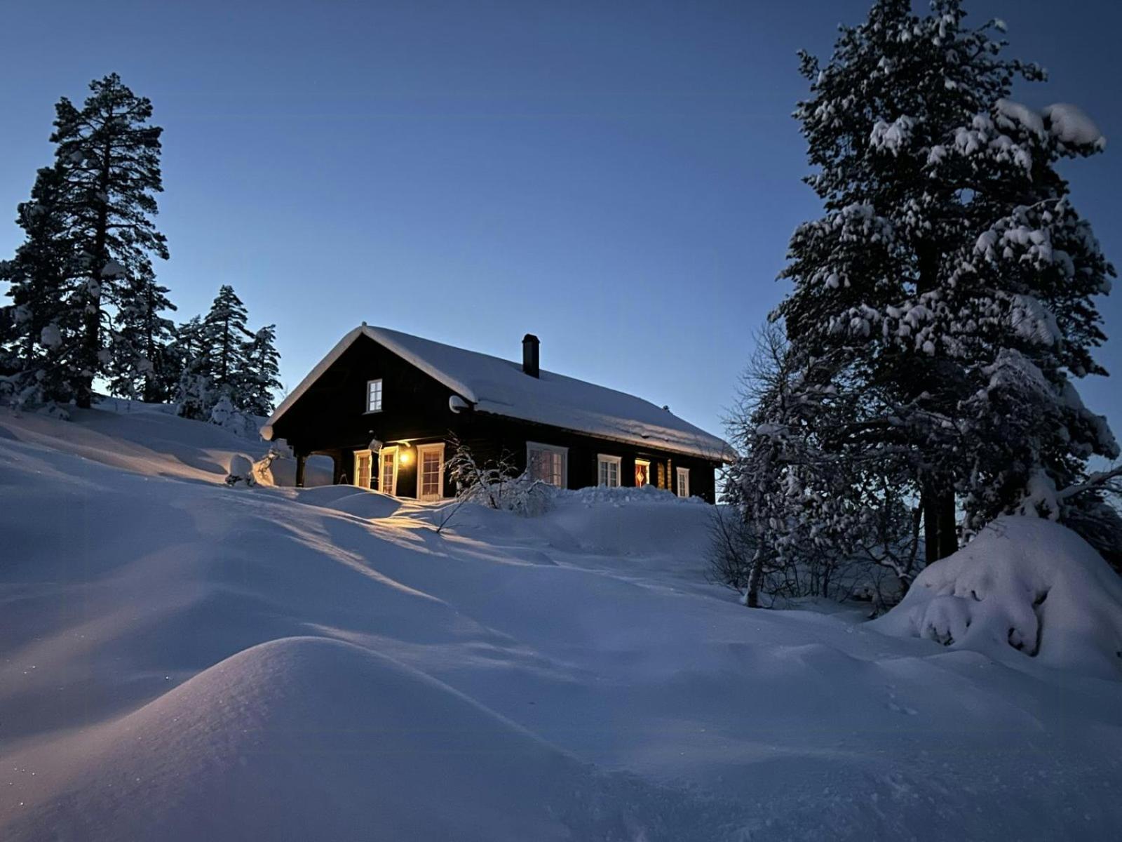 Family Cabin With Mountain View And Ski Trails