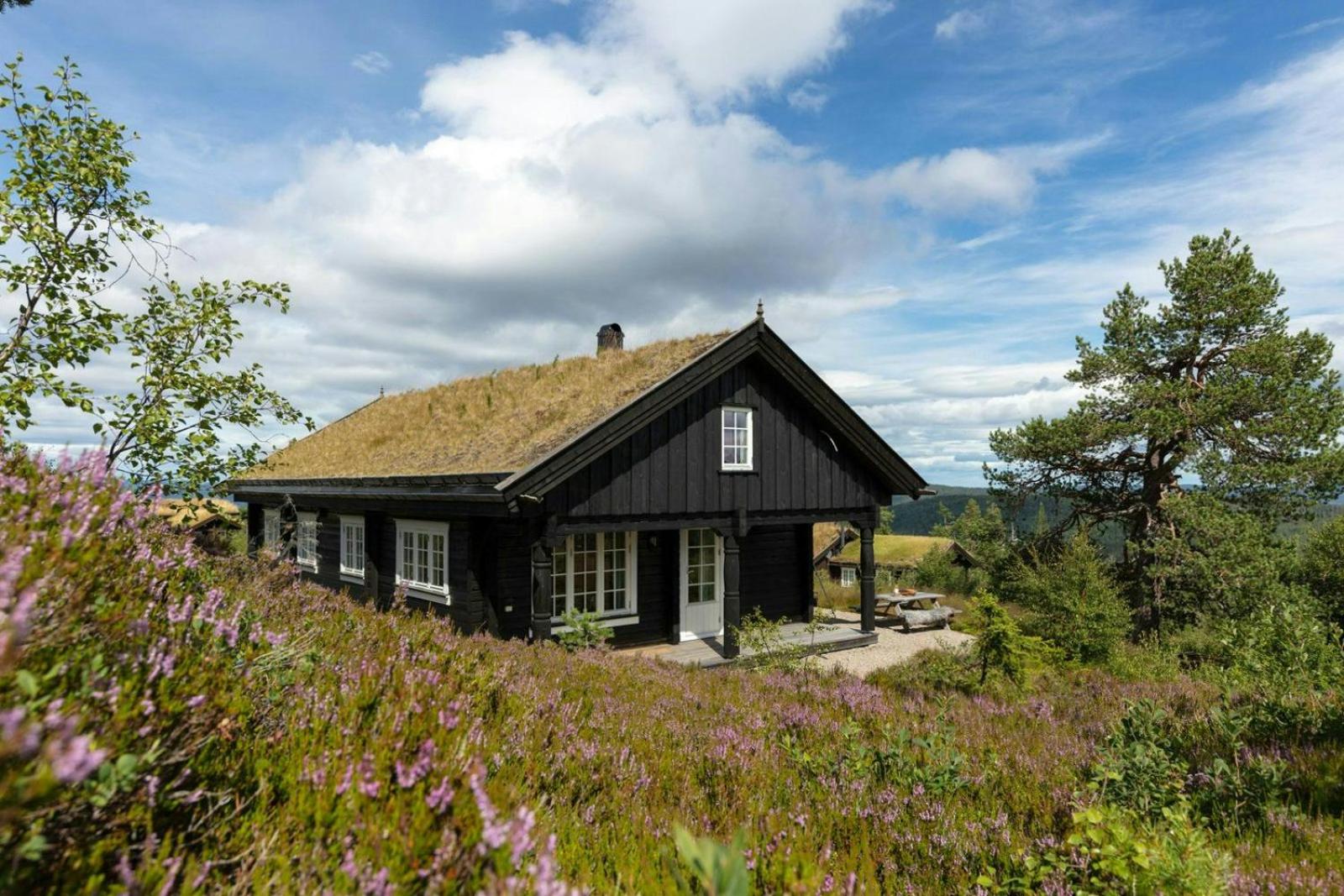 Family Cabin With Mountain View And Ski Trails