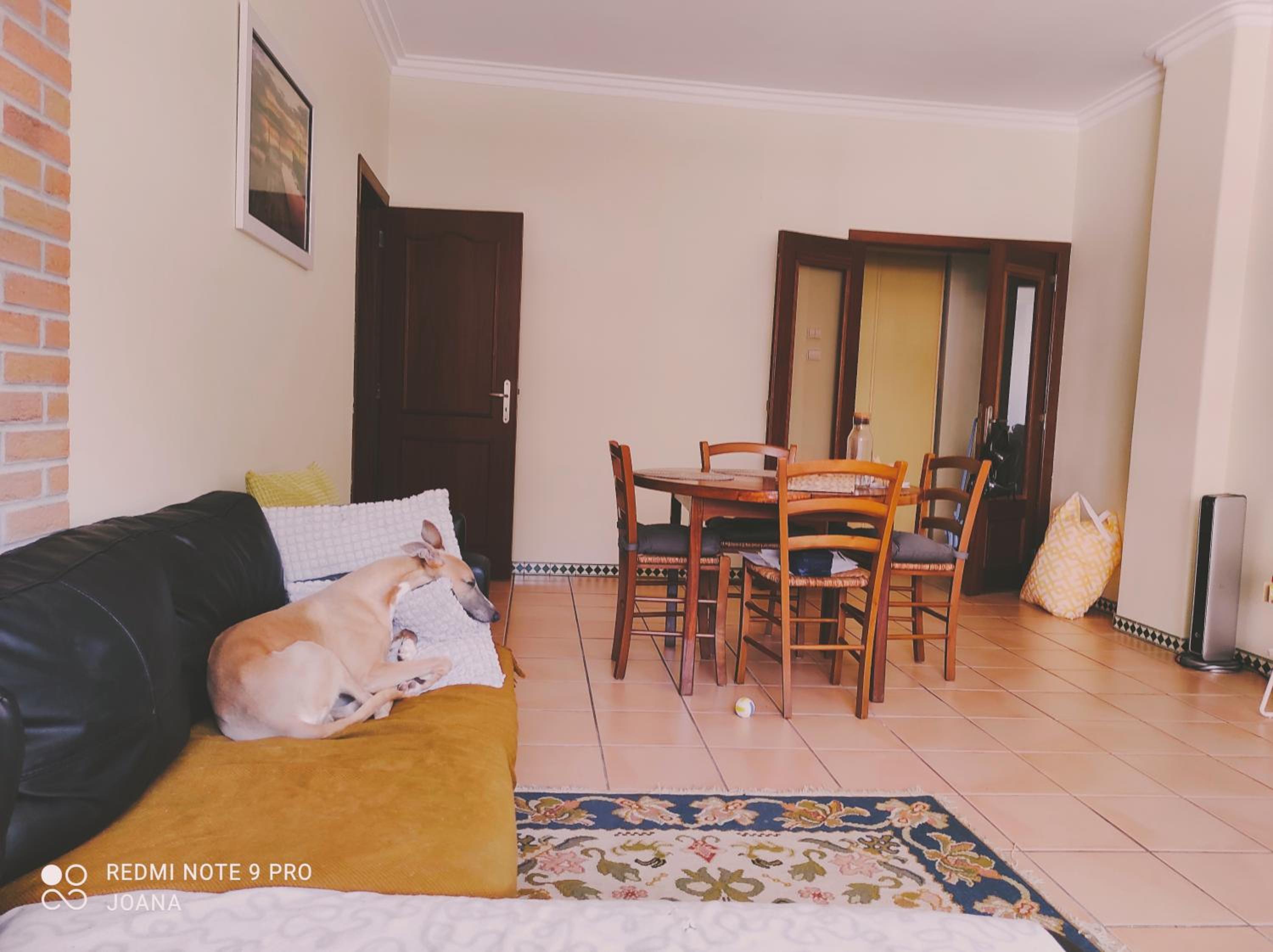 Olívia Oeiras Apartament view 5