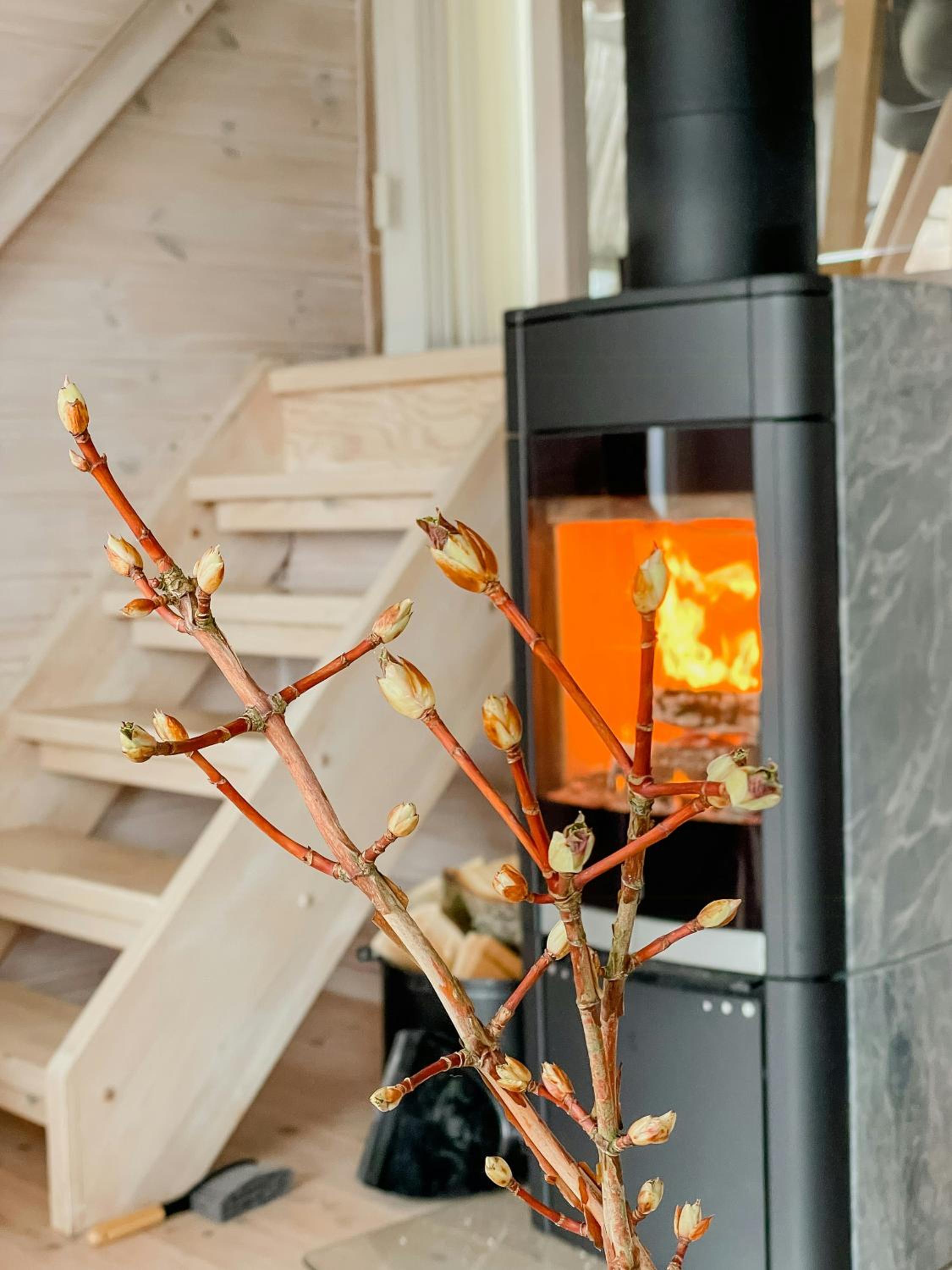 Enjoy Sea Breeze In Architectural Gem In Nord