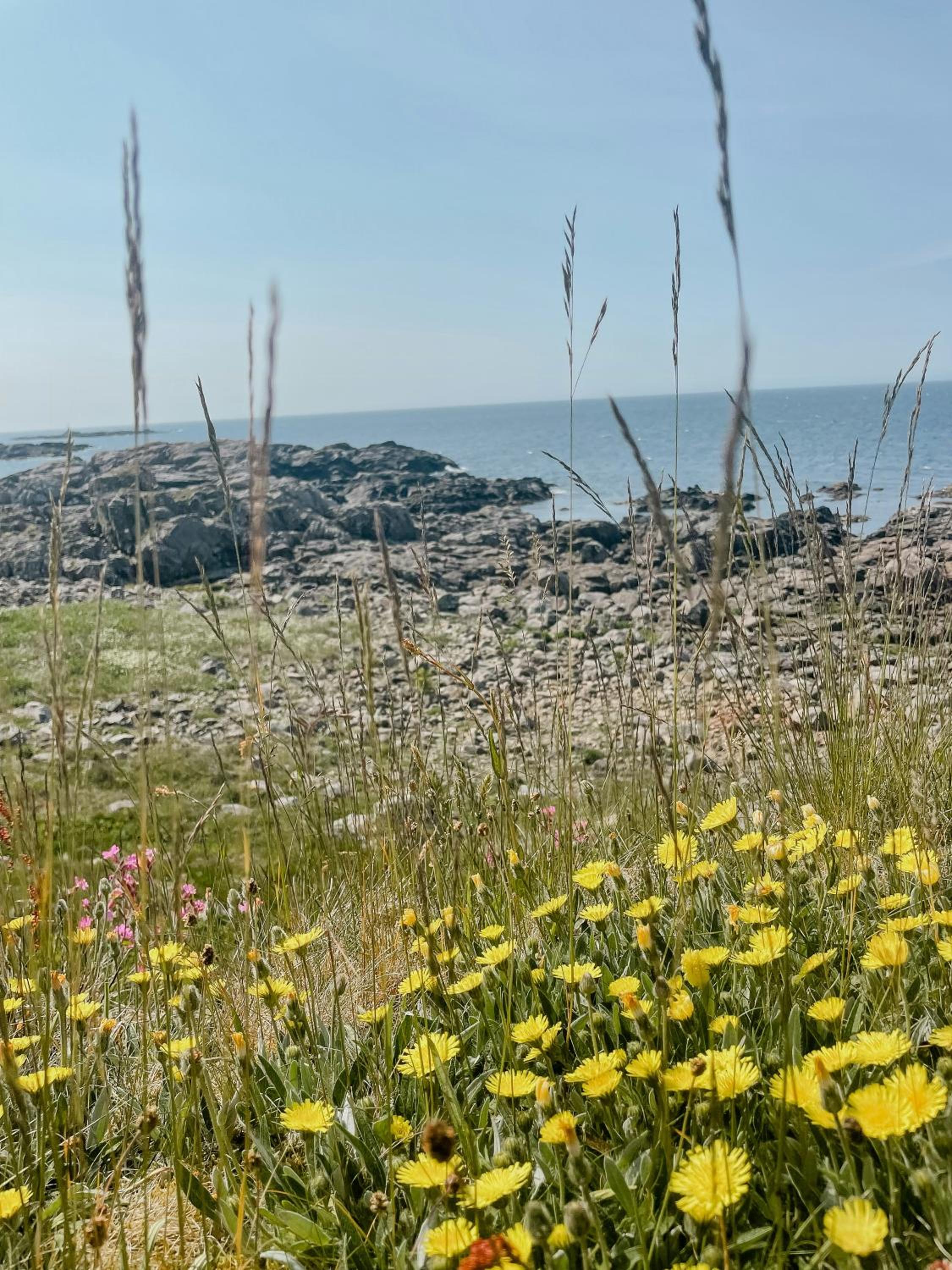 Enjoy Sea Breeze In Architectural Gem In Nord