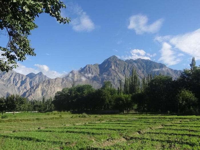 The Mountain Gypsy Resort view 5