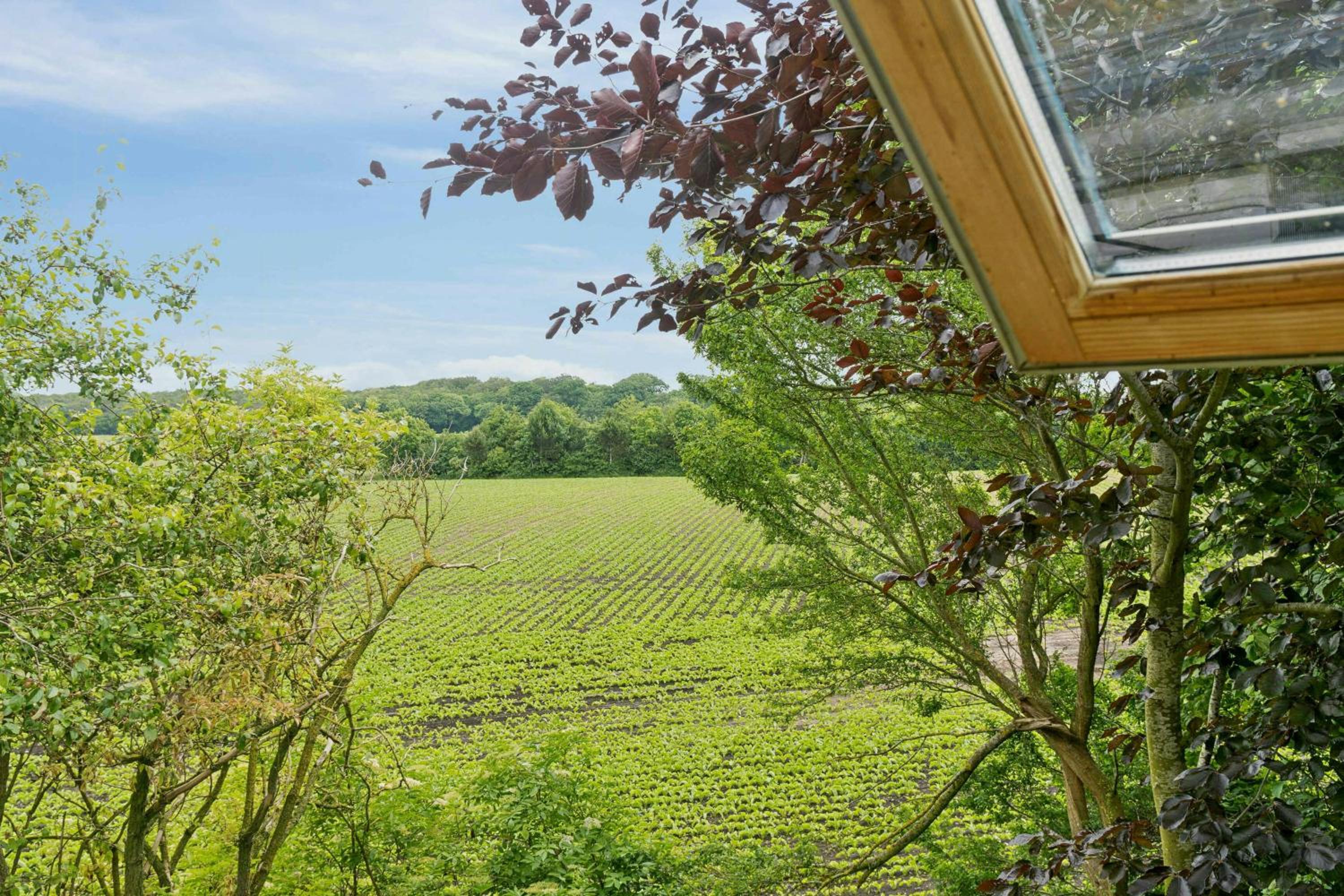Private Retreat Near Kragenæs With Field Views