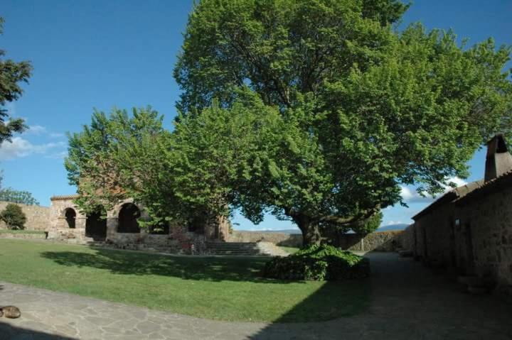 Photo 35