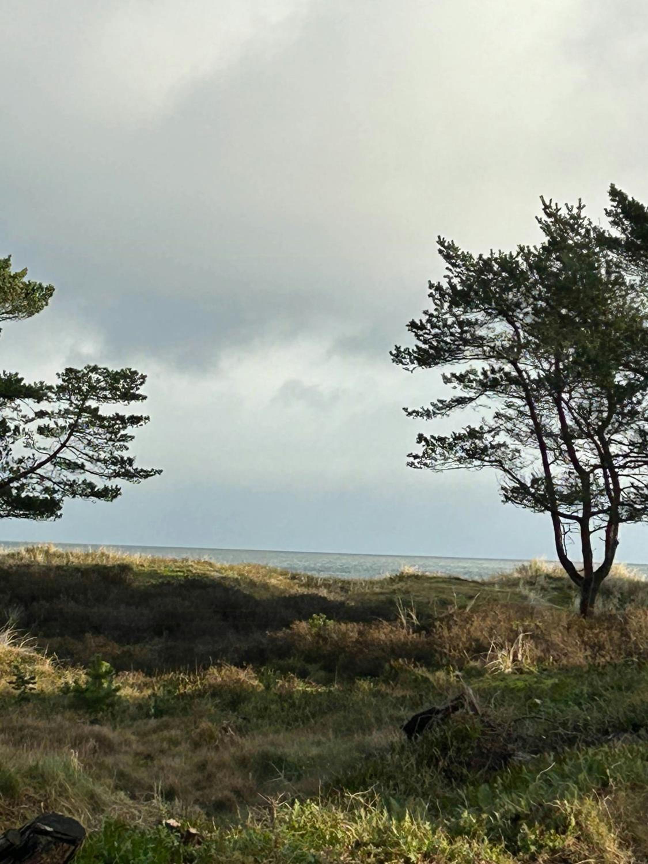 Architectural Home With Nature Plot On Bornholm