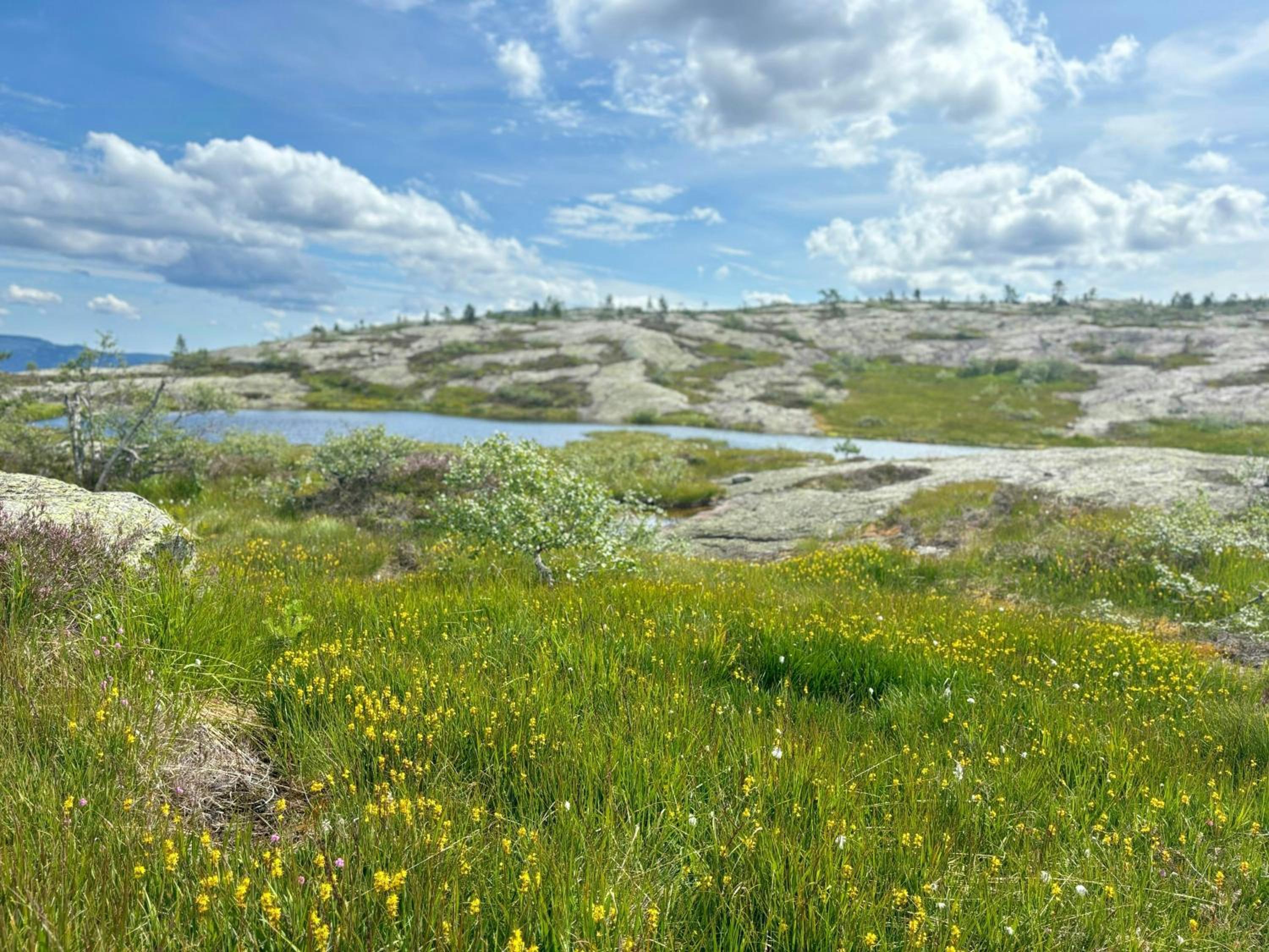 Photo 26
