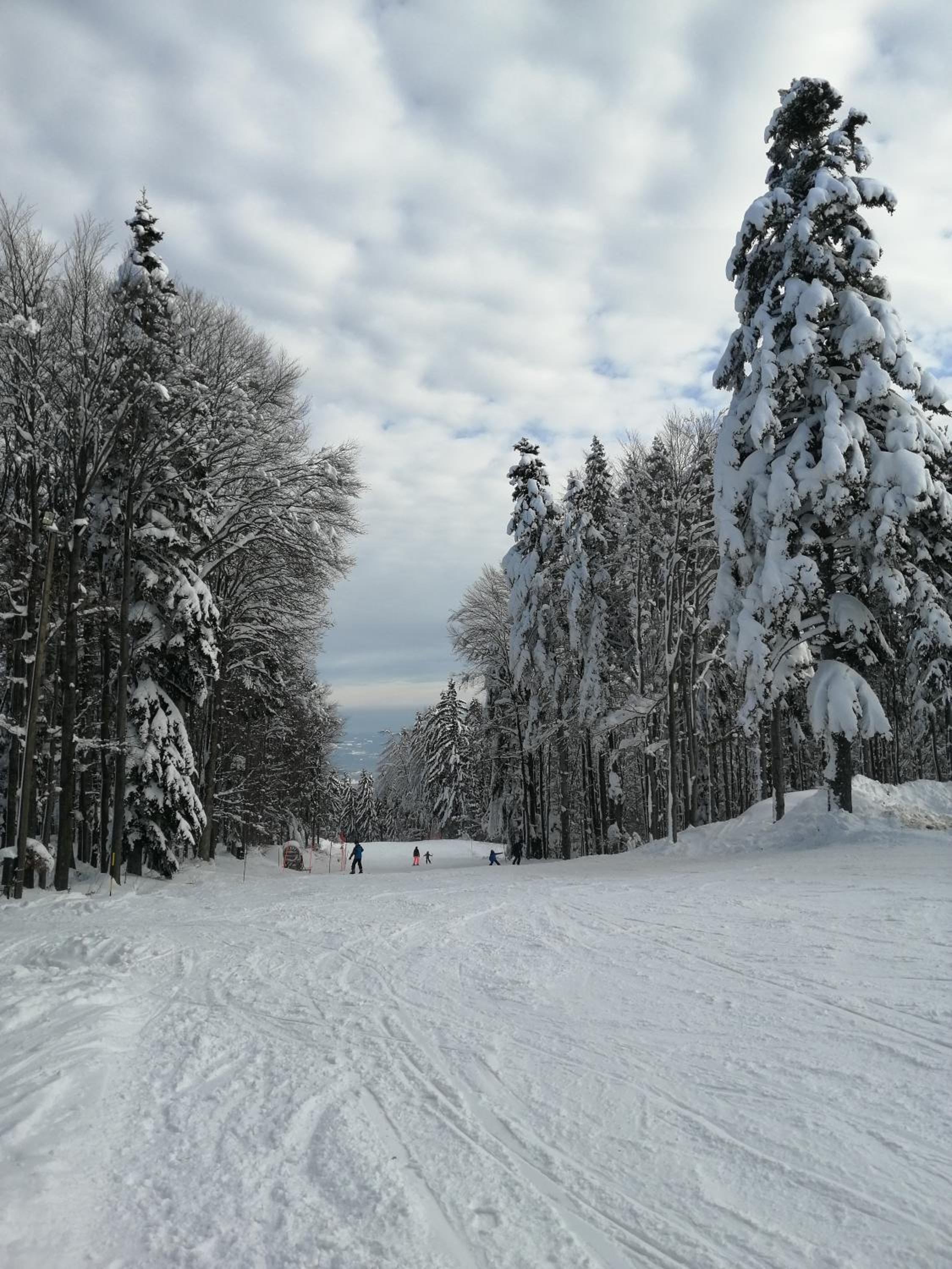 Photo 24