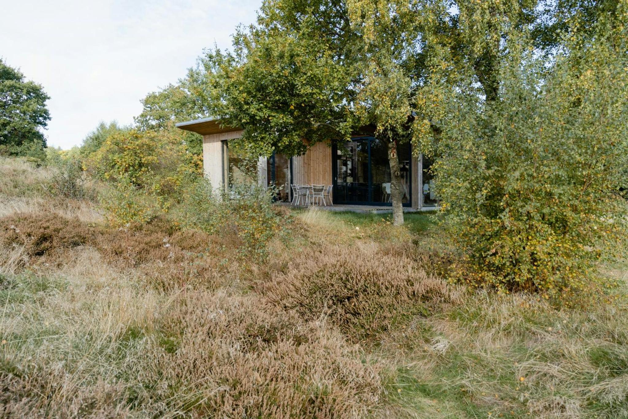 Feel The Nature Inside In Architect-Designed Gem