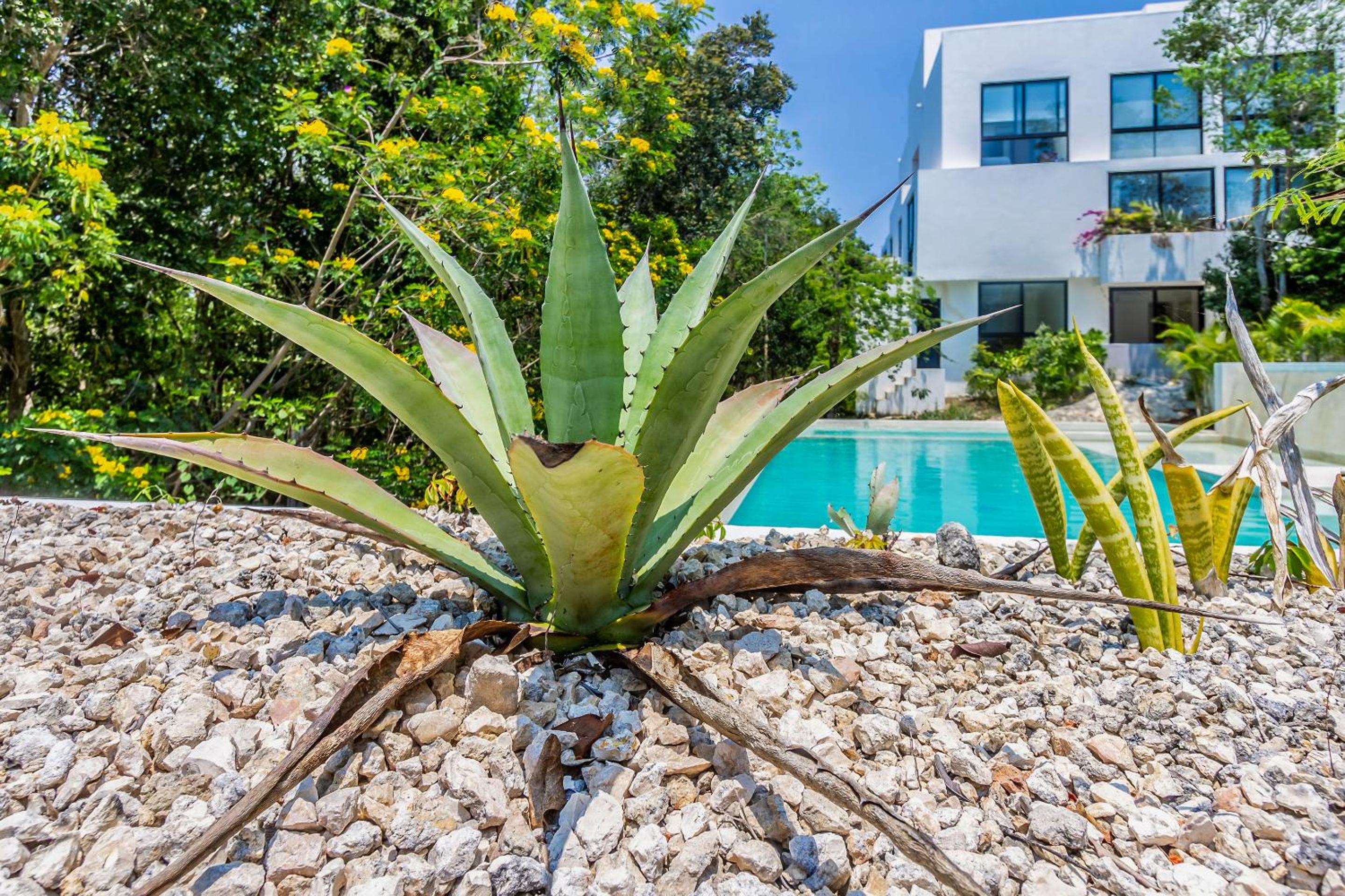 Tropical Bliss Apartments 3 Pools Rooftop Lounge and Gym