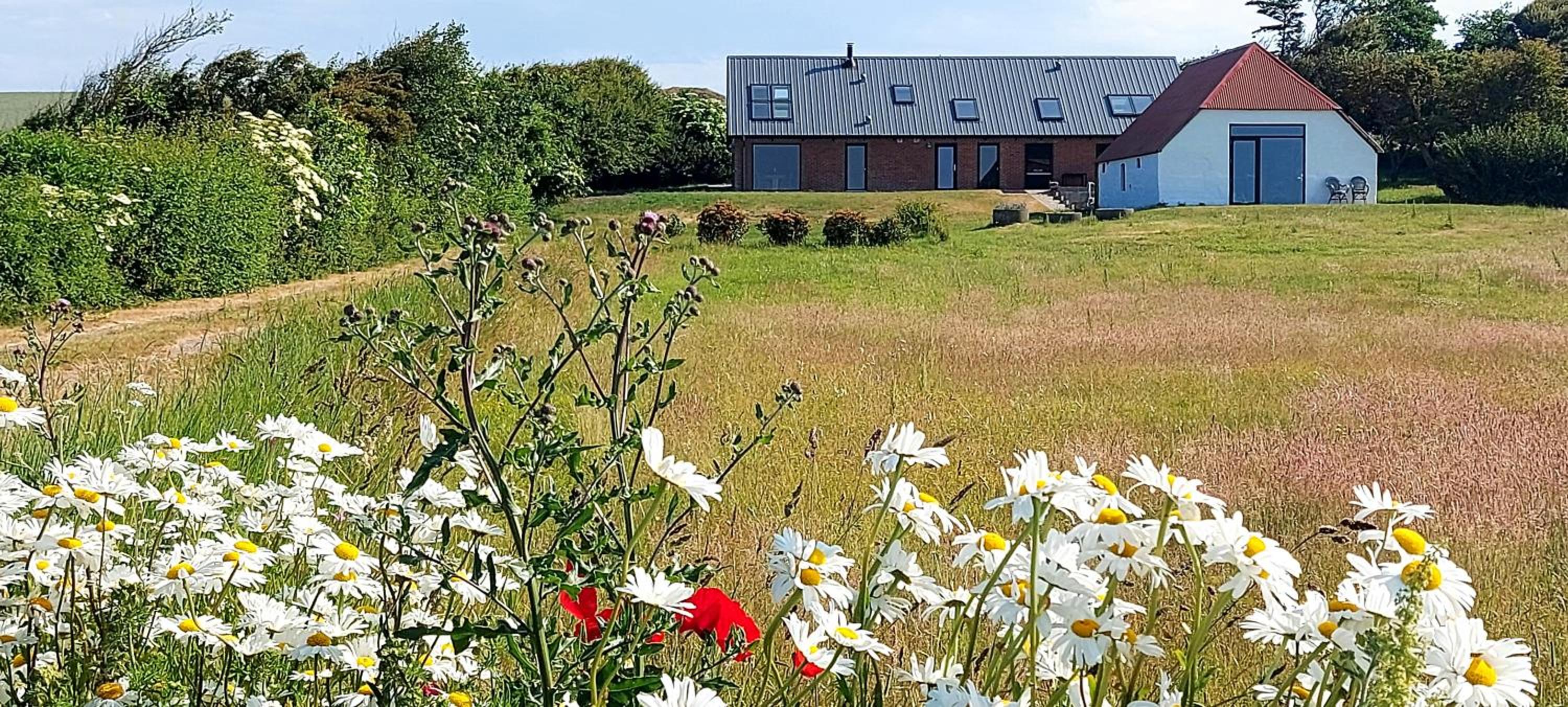 Peaceful Summer House Apartment Near Limfjorden
