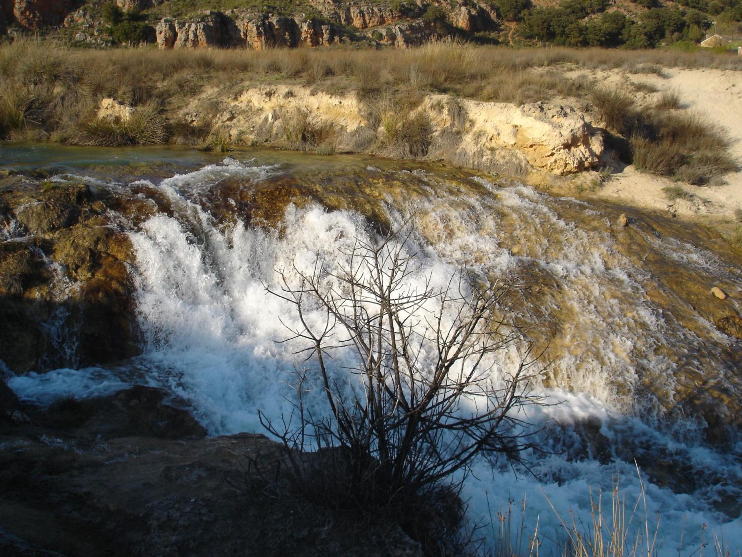 Photo 47