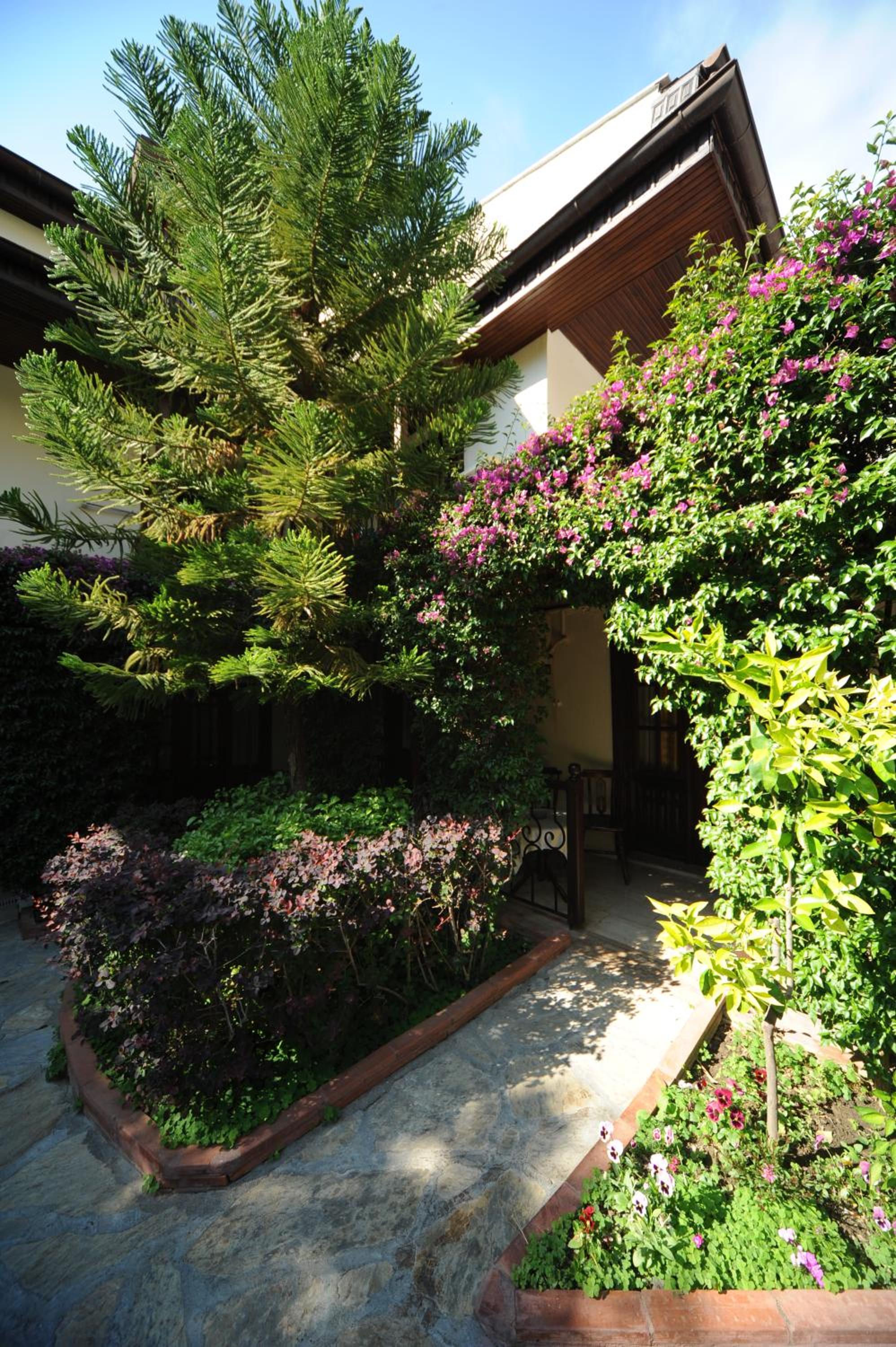 Hotel Villa Daffodil - Image 17