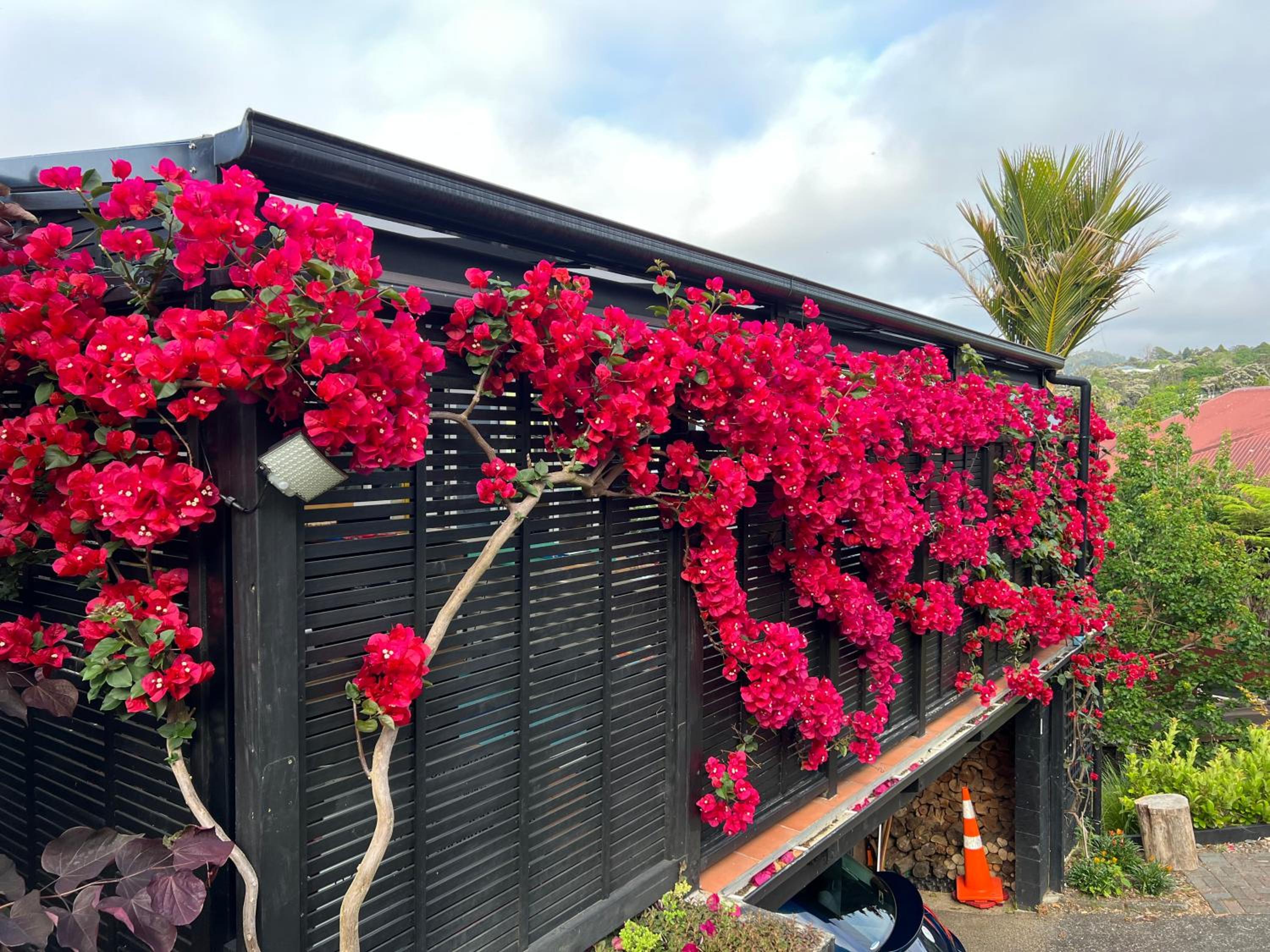 Brophys Beach Studio