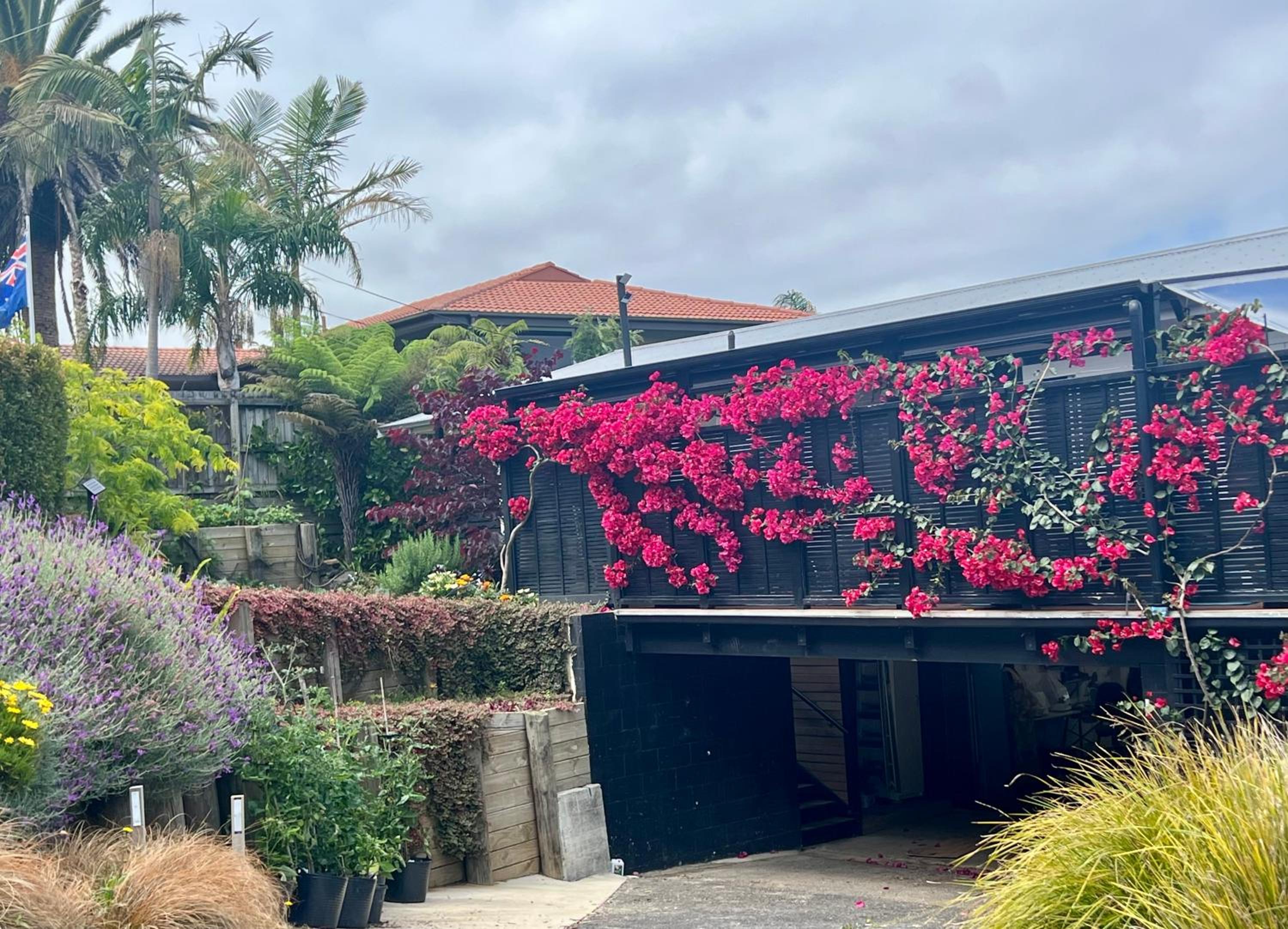 Brophys Beach Studio