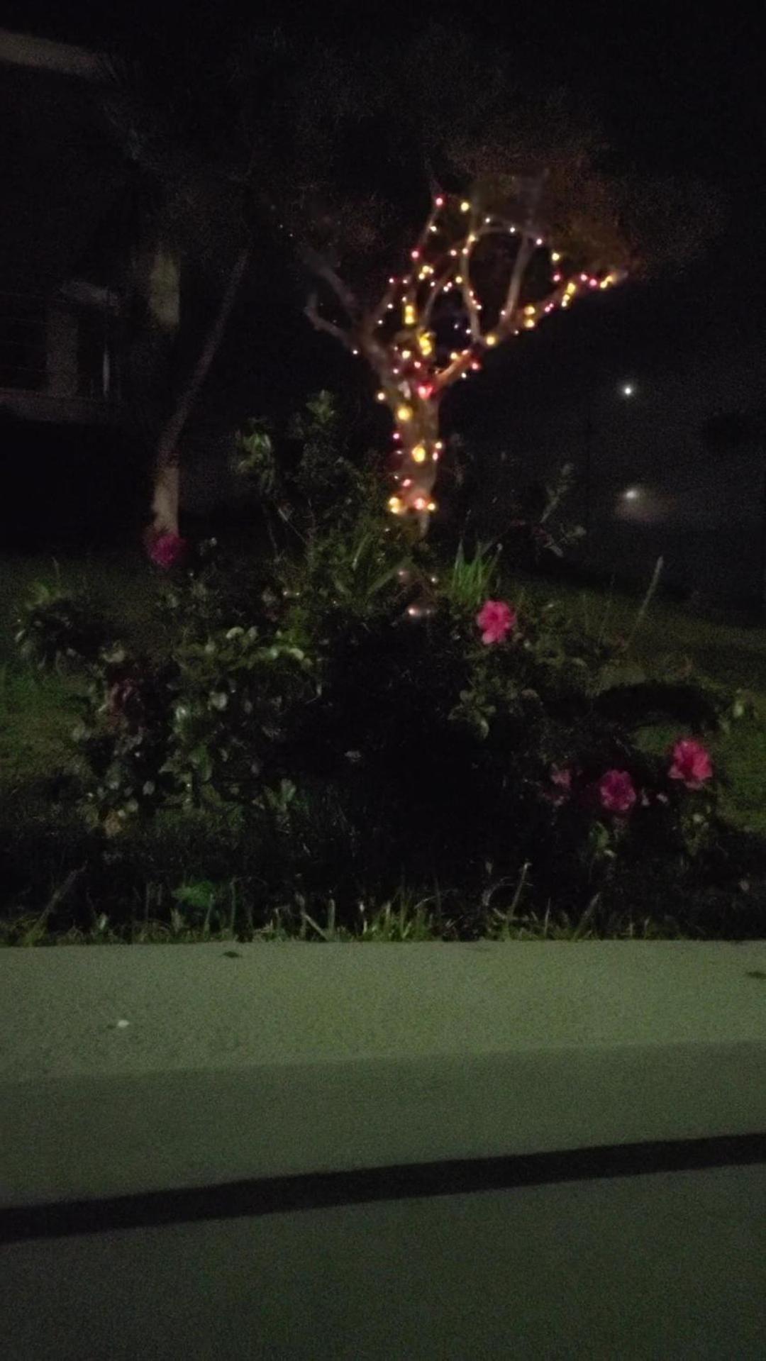 Photo 42