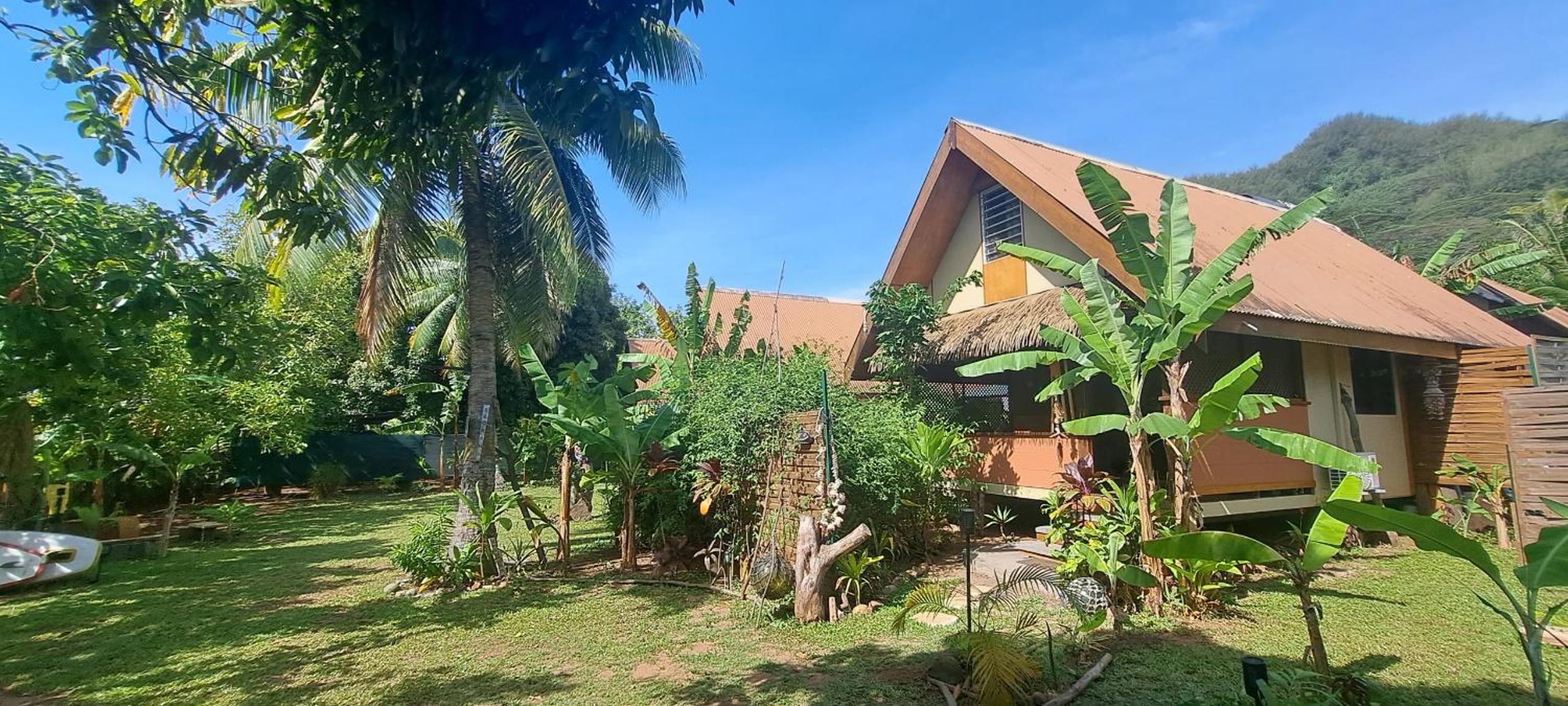 MOOREA - Studio Corail